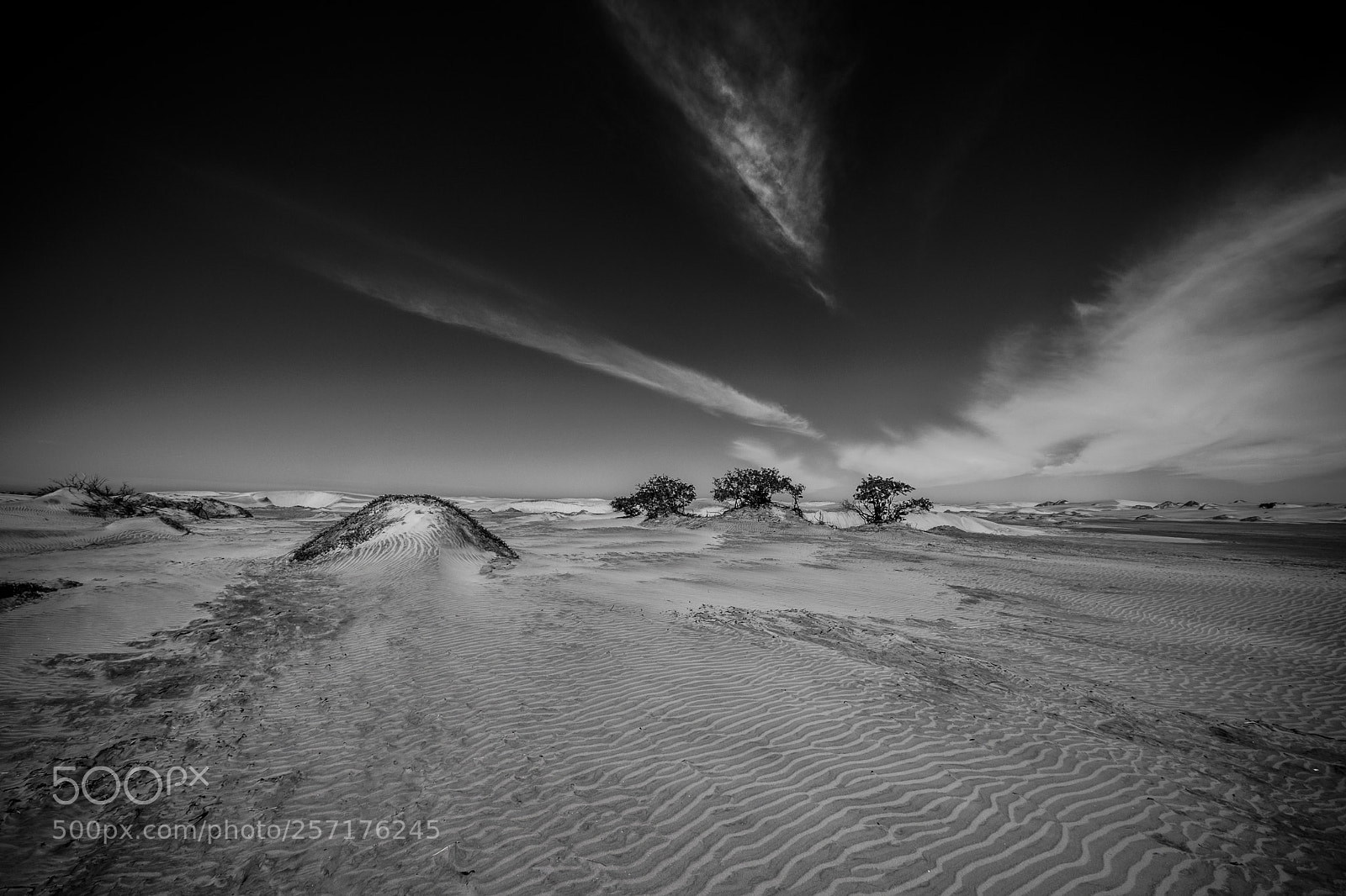 Fujifilm X-T2 sample photo. Desert landscape in mexico photography