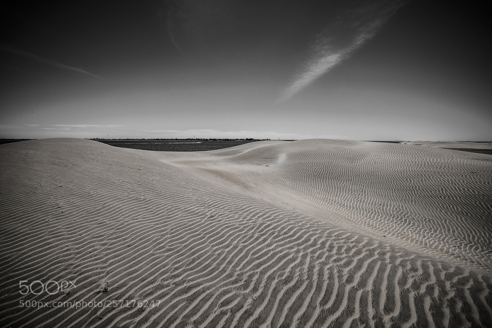 Fujifilm X-T2 sample photo. Desert landscape in mexico photography