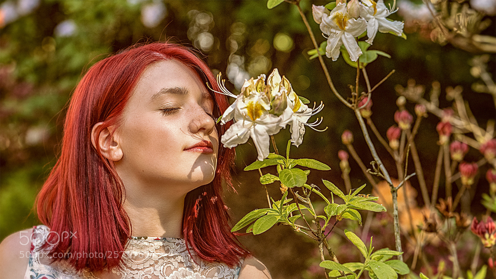 Nikon D750 sample photo. * petite fleur * photography