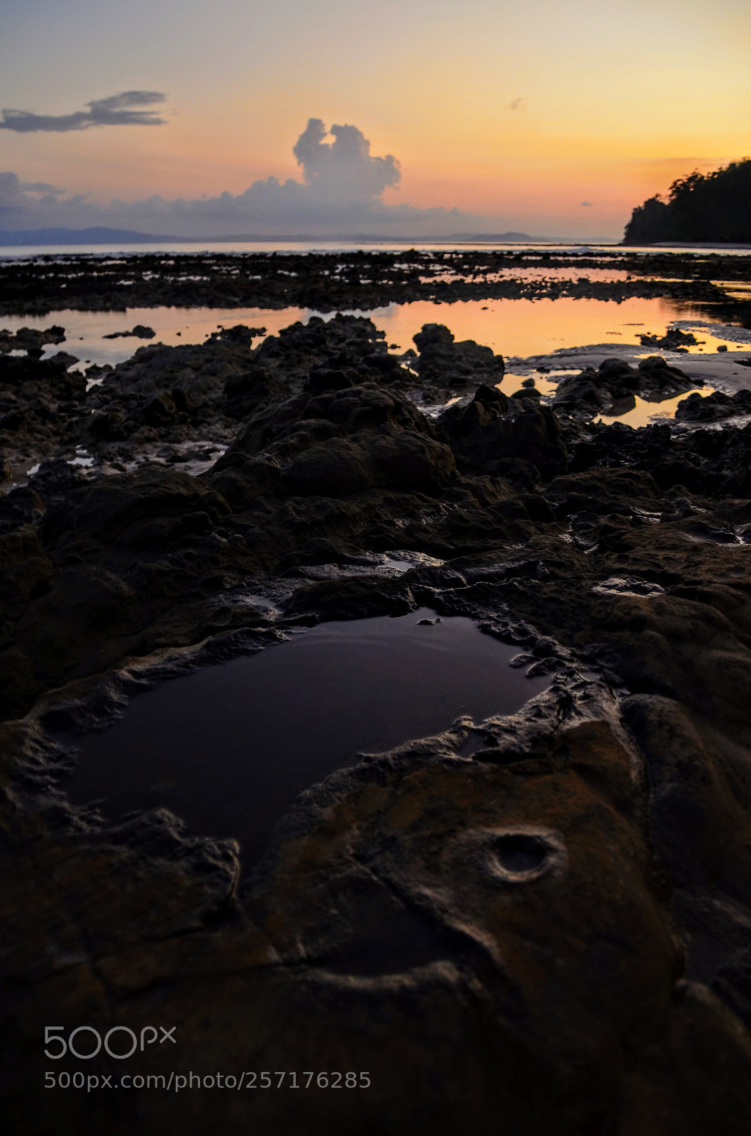Nikon D7000 sample photo. Colors and designs of photography