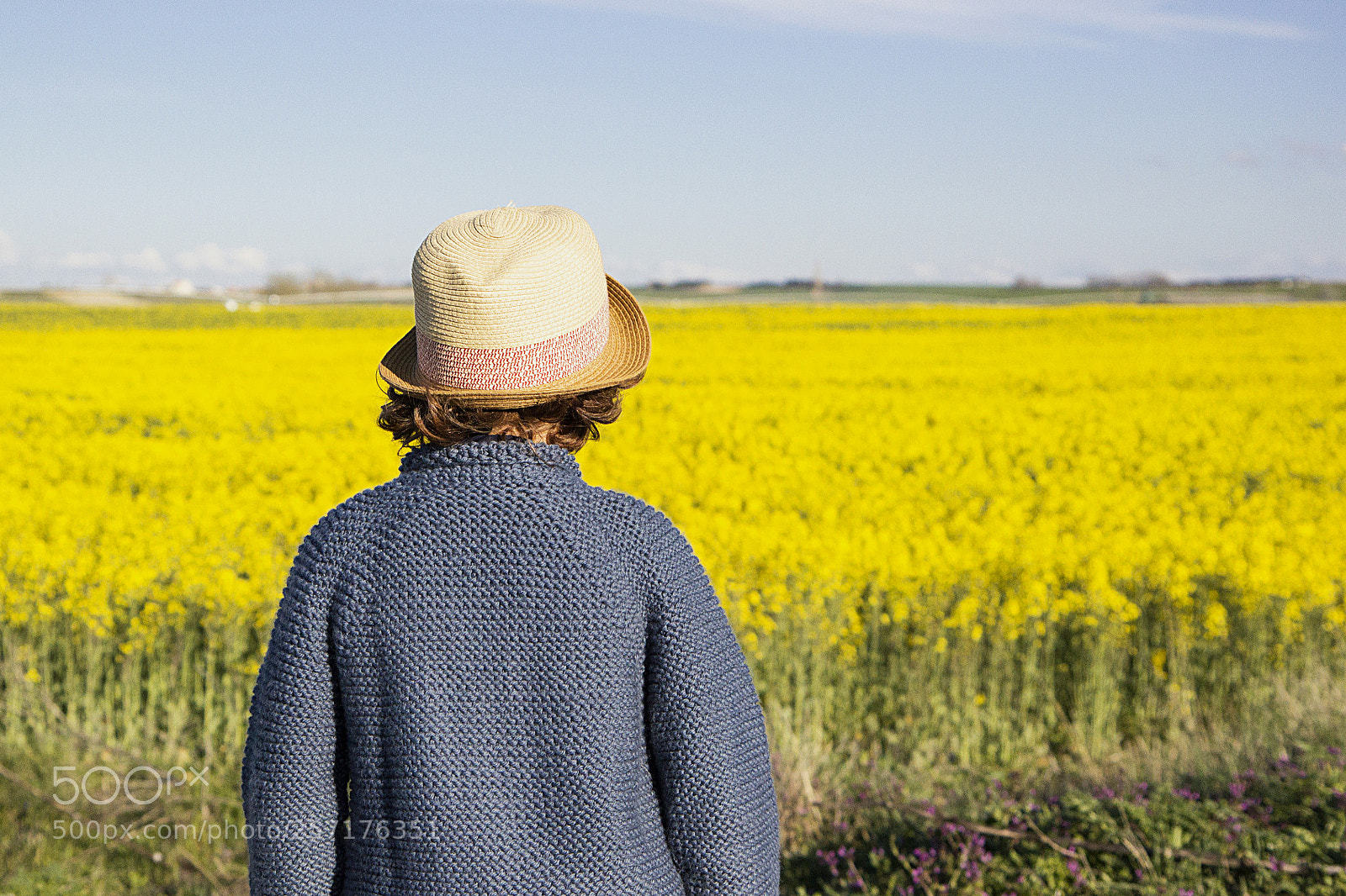 Canon EOS 60D sample photo. Amarillo yellow photography