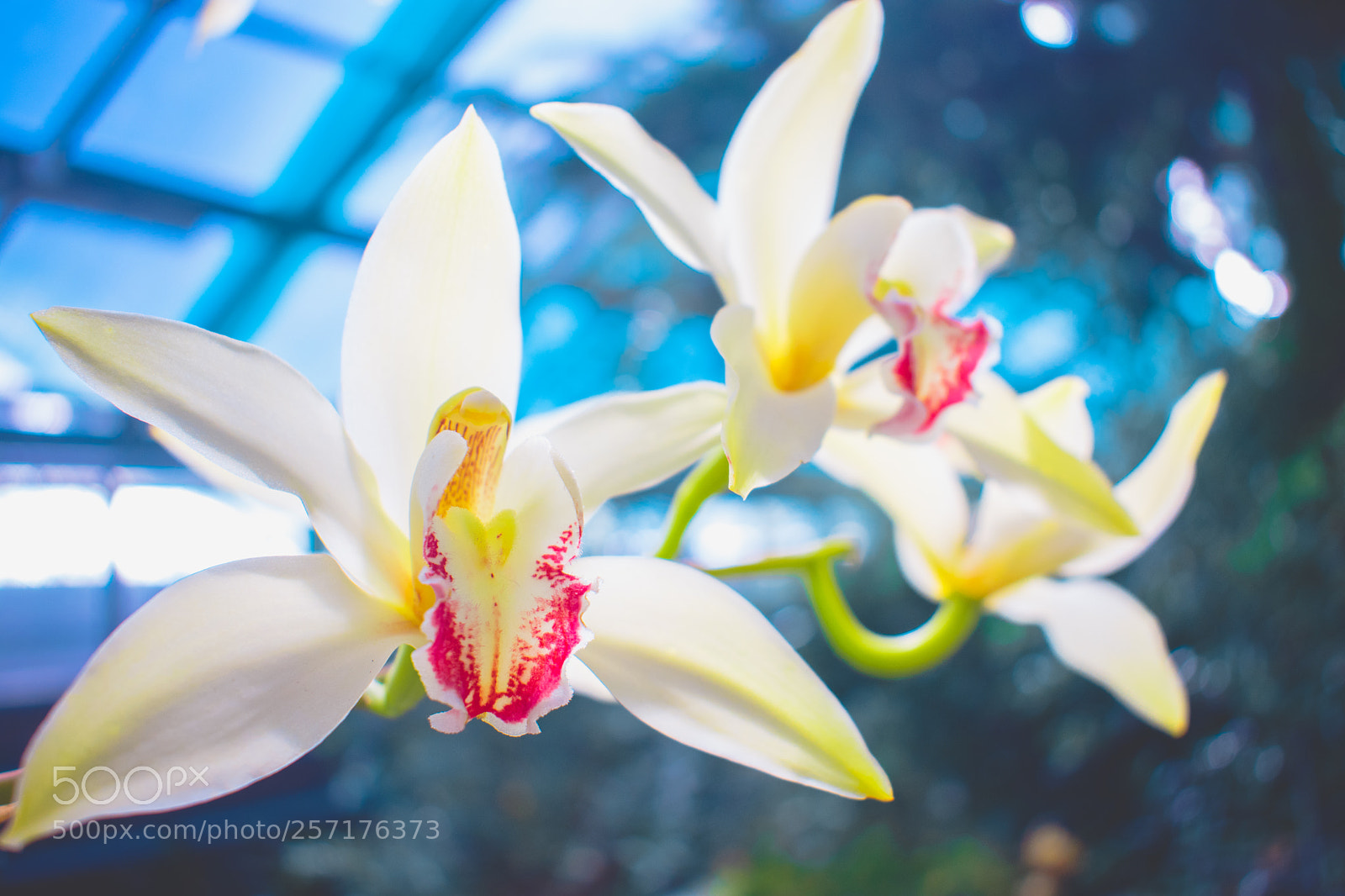 Nikon D3400 sample photo. Tenderness photography