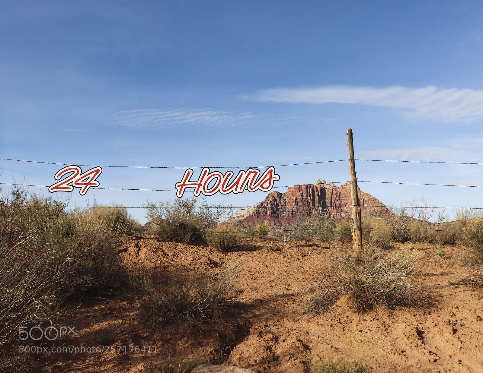 Canon EOS 77D (EOS 9000D / EOS 770D) sample photo. All the time photography