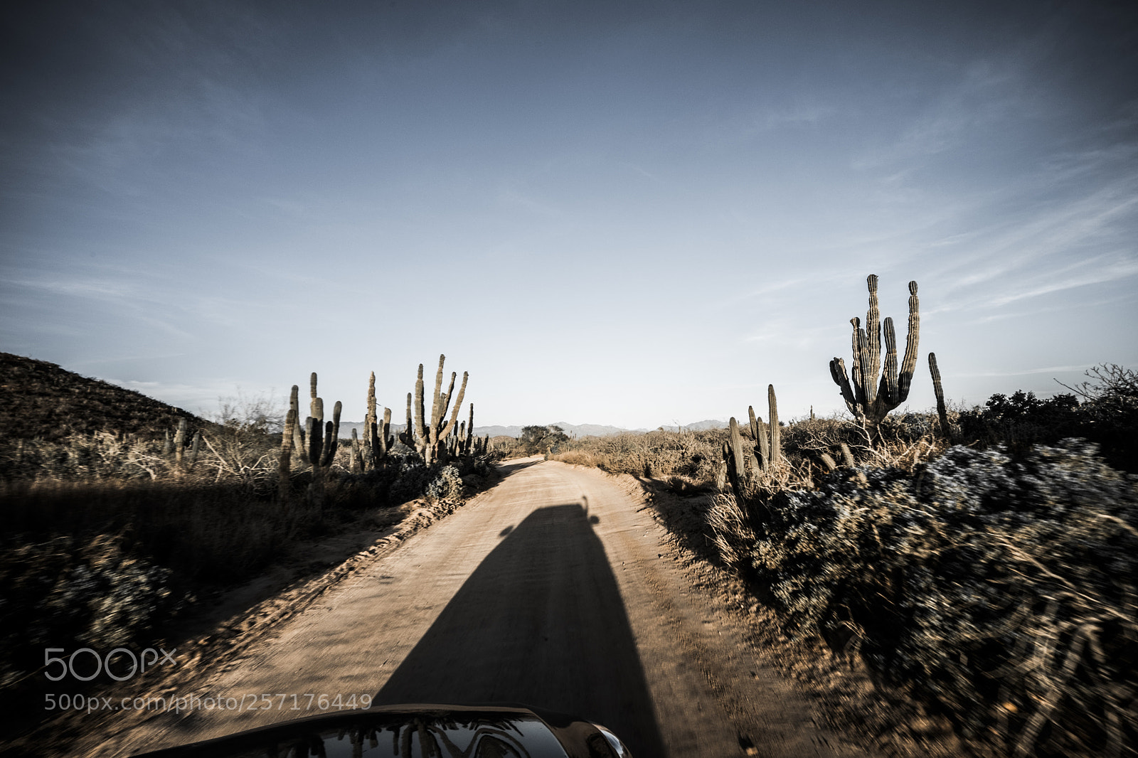 Fujifilm X-T2 sample photo. Desert landscape in mexico photography