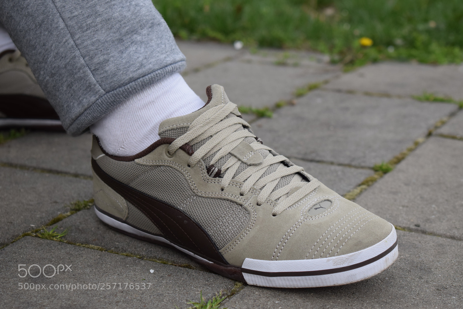 Nikon D5300 sample photo. Puma - commercial ad photography