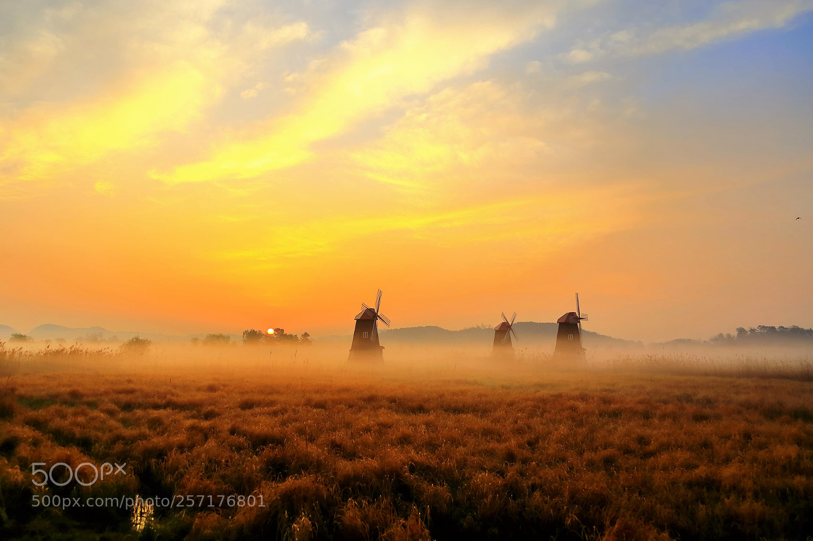 Canon EOS 6D sample photo. A misty sunrise photography