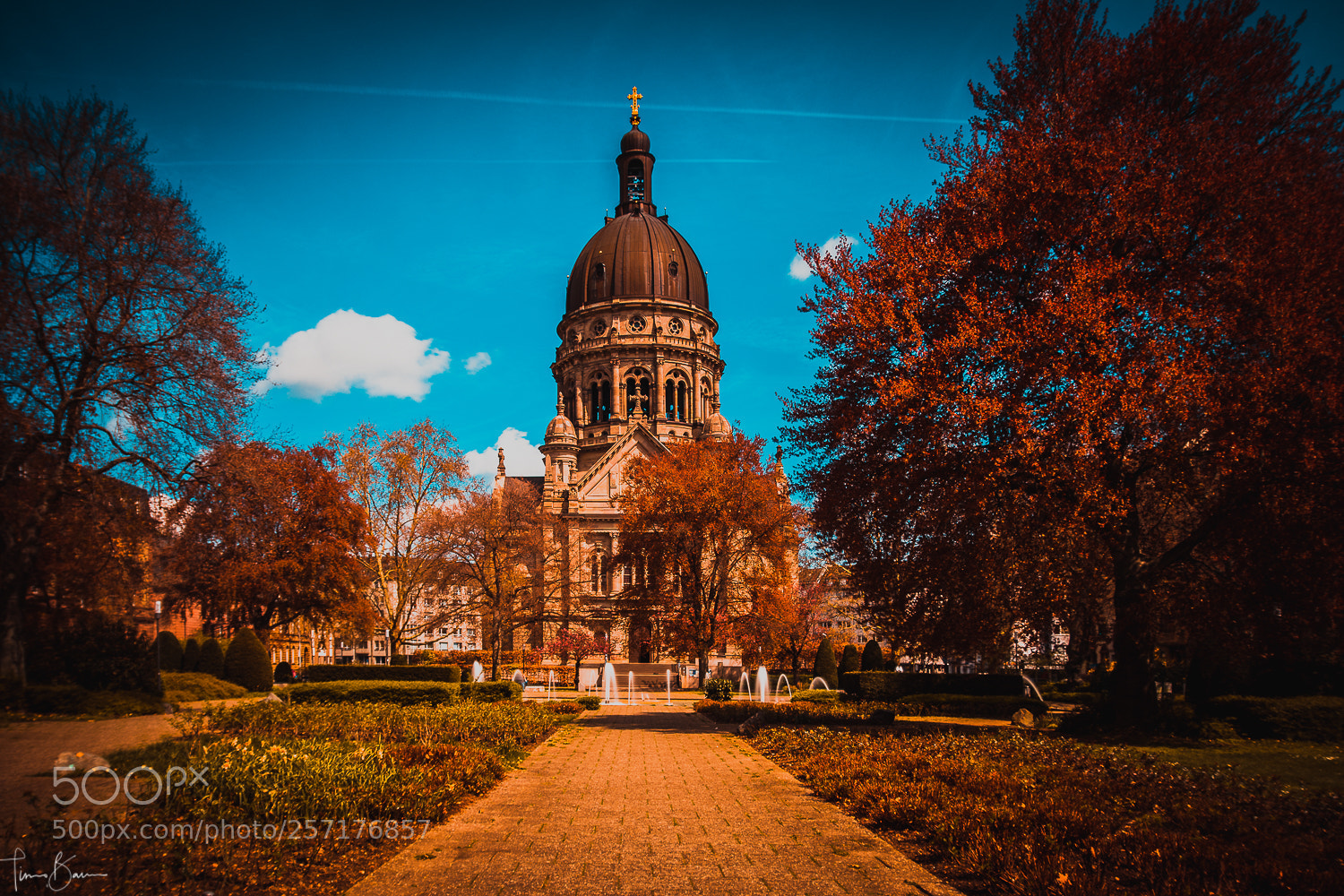 Nikon D7500 sample photo. Christ-church photography