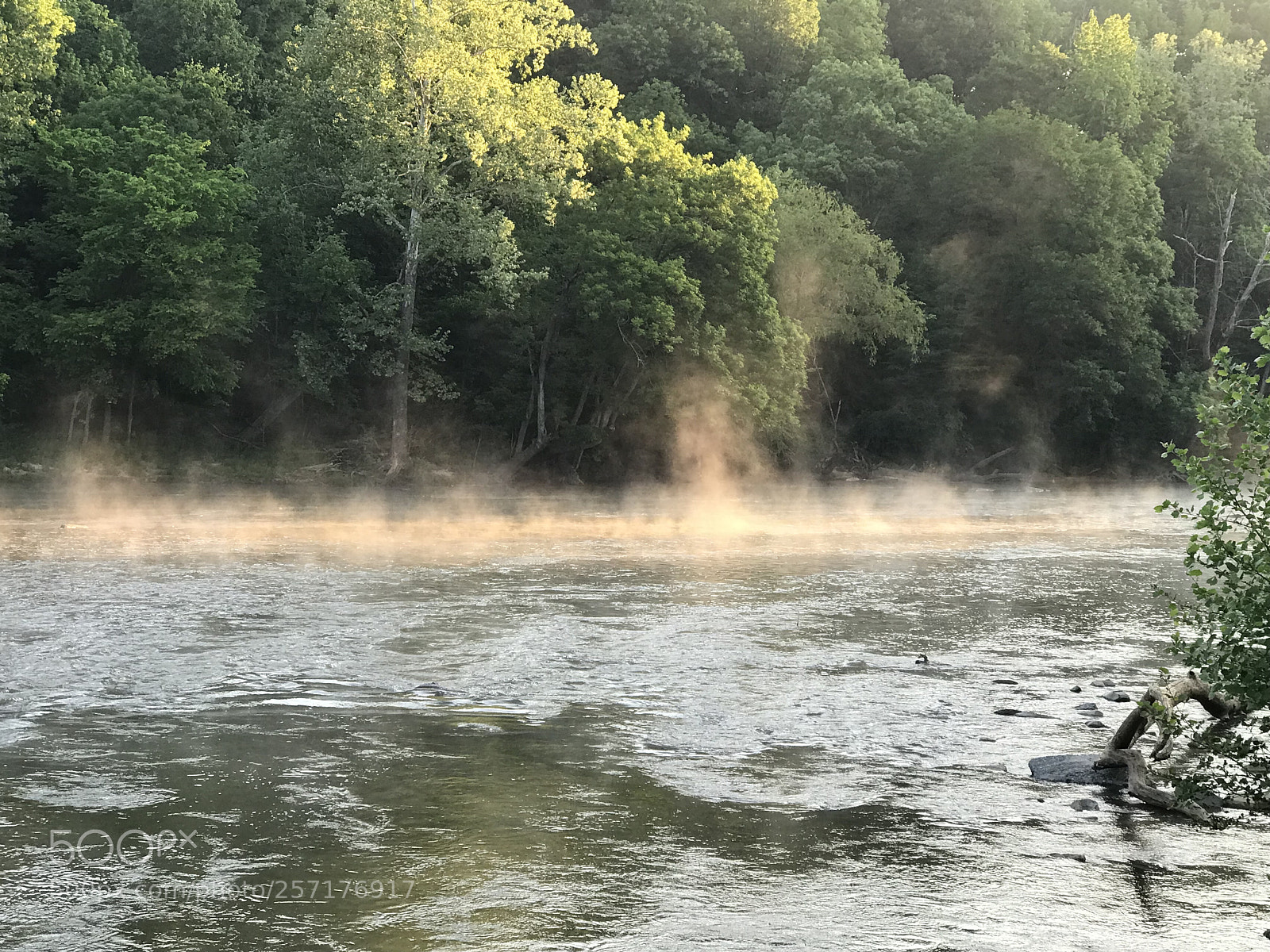 Apple iPhone 7 Plus sample photo. Dawn on the river photography