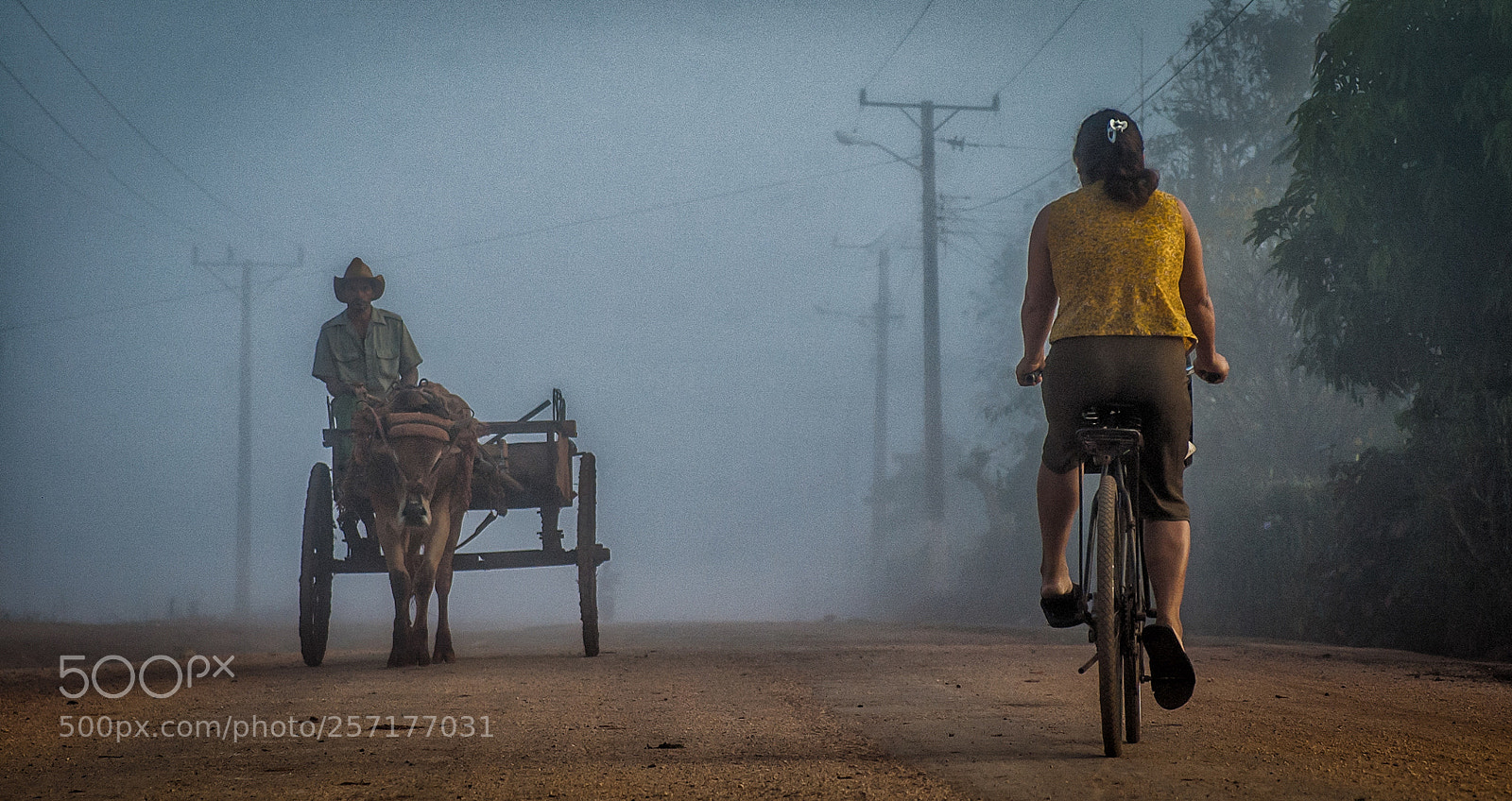 Nikon D70 sample photo. Daylife at cuban countryside photography