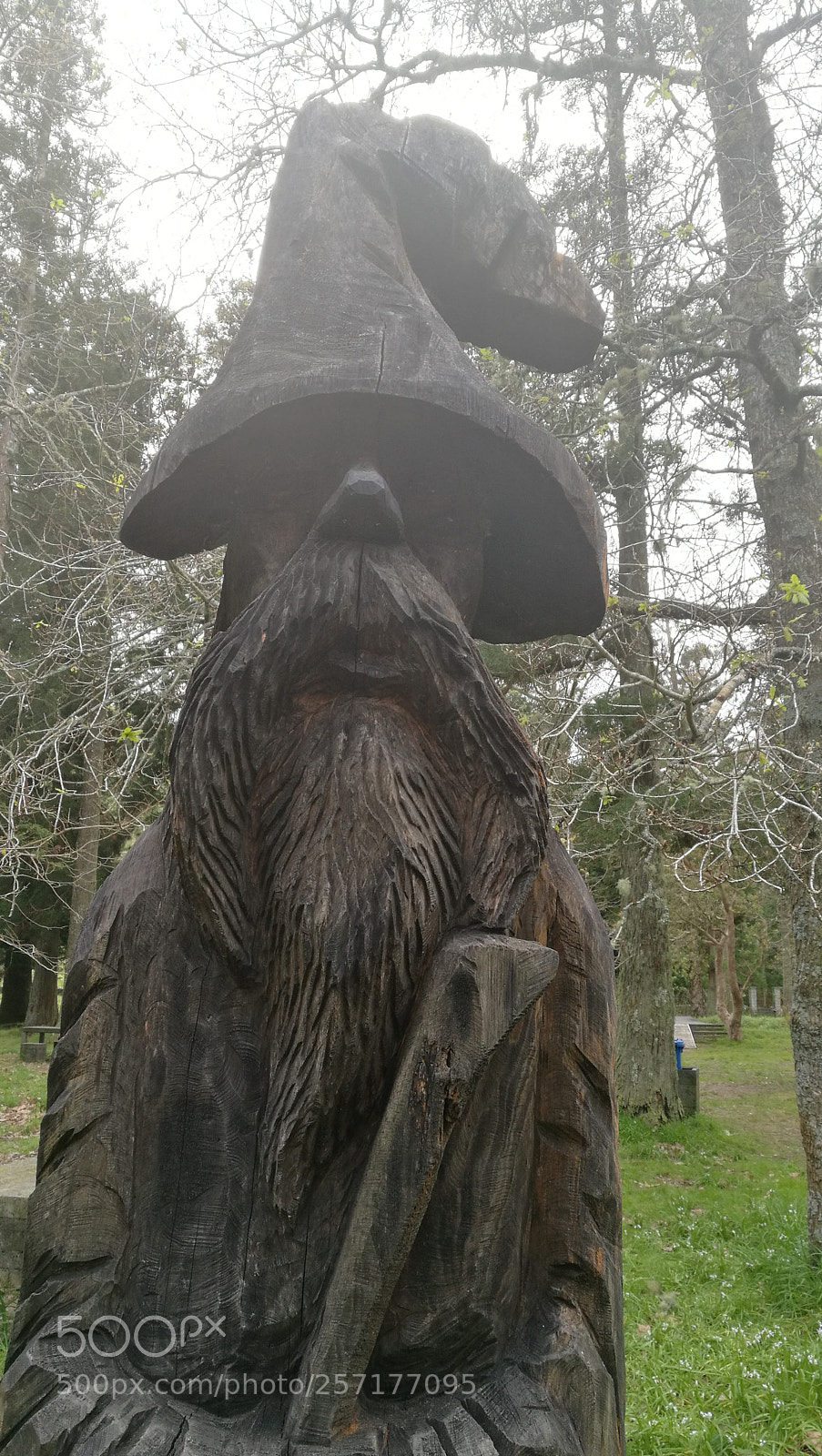 HUAWEI P9 Plus sample photo. Gandalf em tronco vivo photography