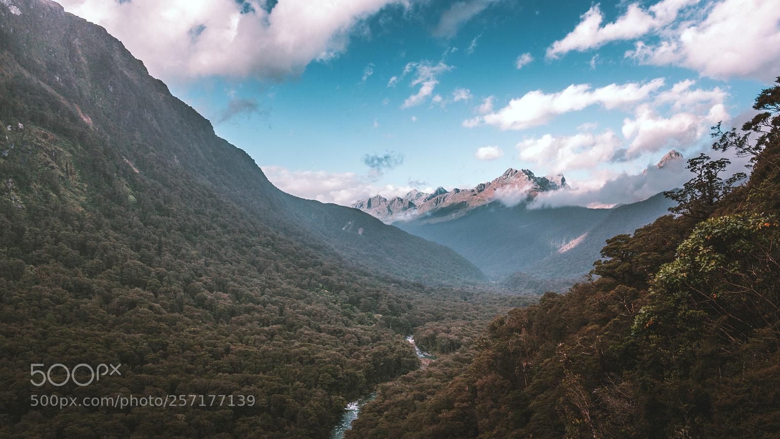 Canon EOS 5D Mark II sample photo. Milford sound highway photography