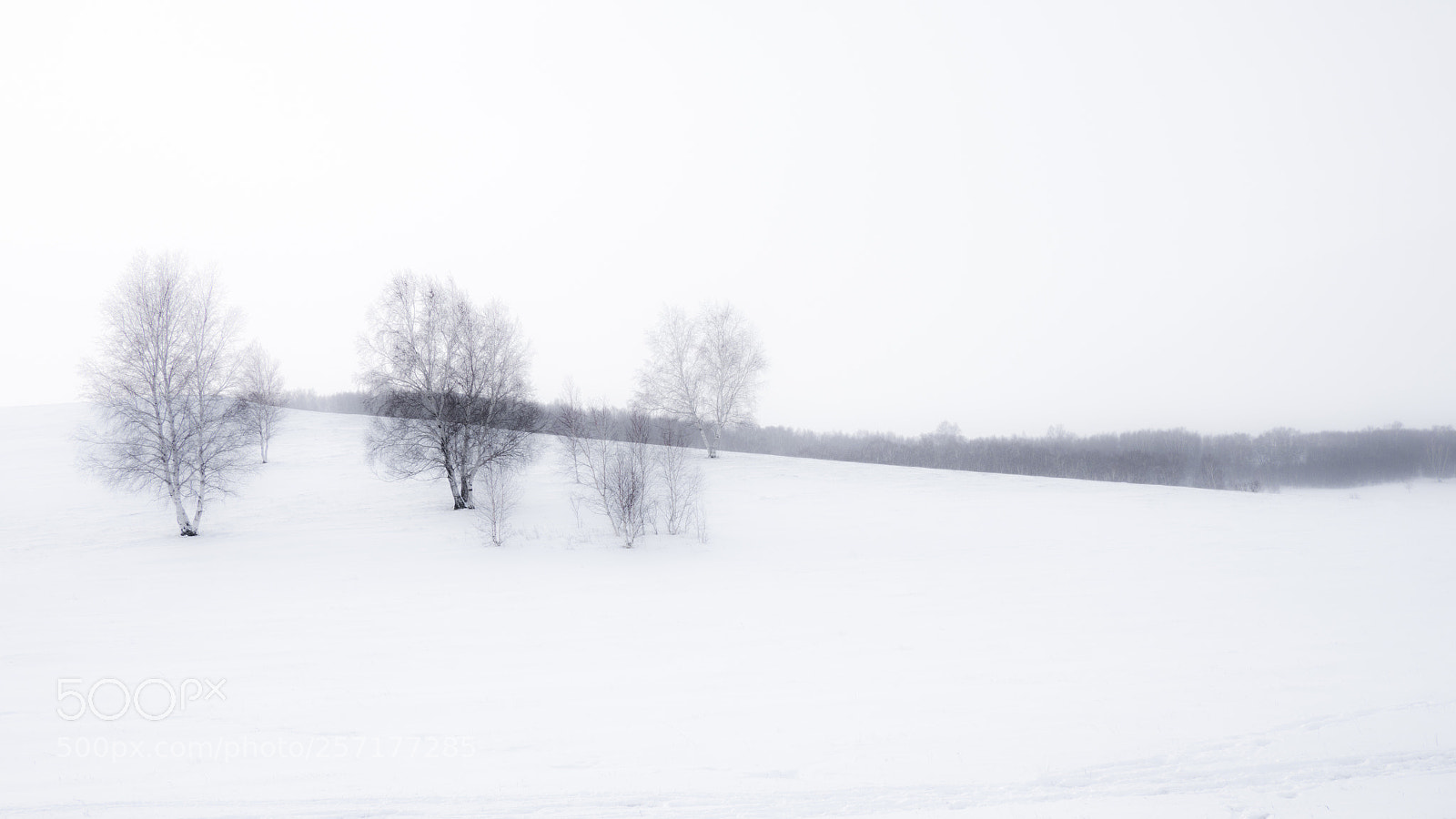 Olympus OM-D E-M10 sample photo. 水墨雪域 4 photography