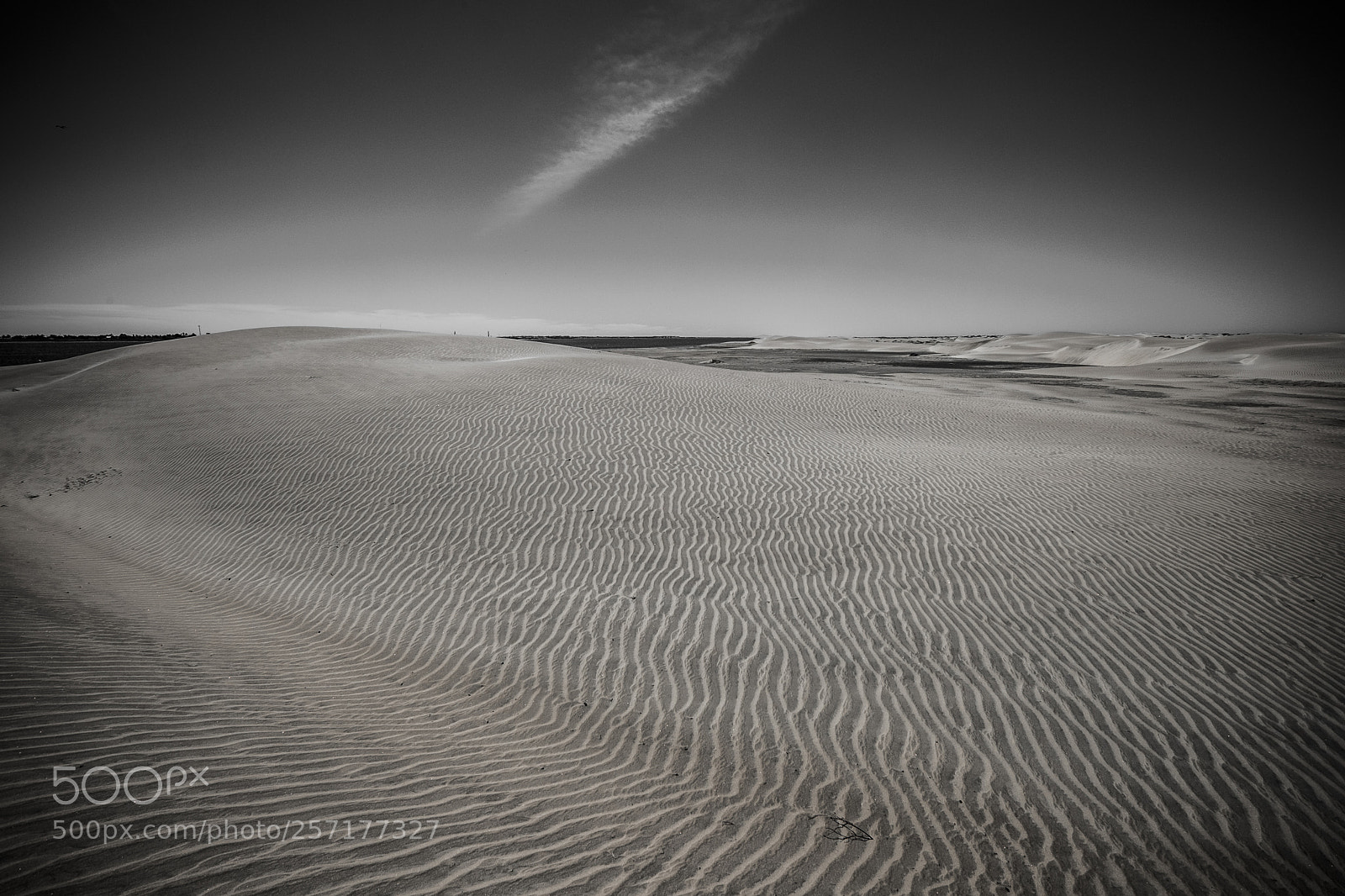 Fujifilm X-T2 sample photo. Desert landscape in mexico photography