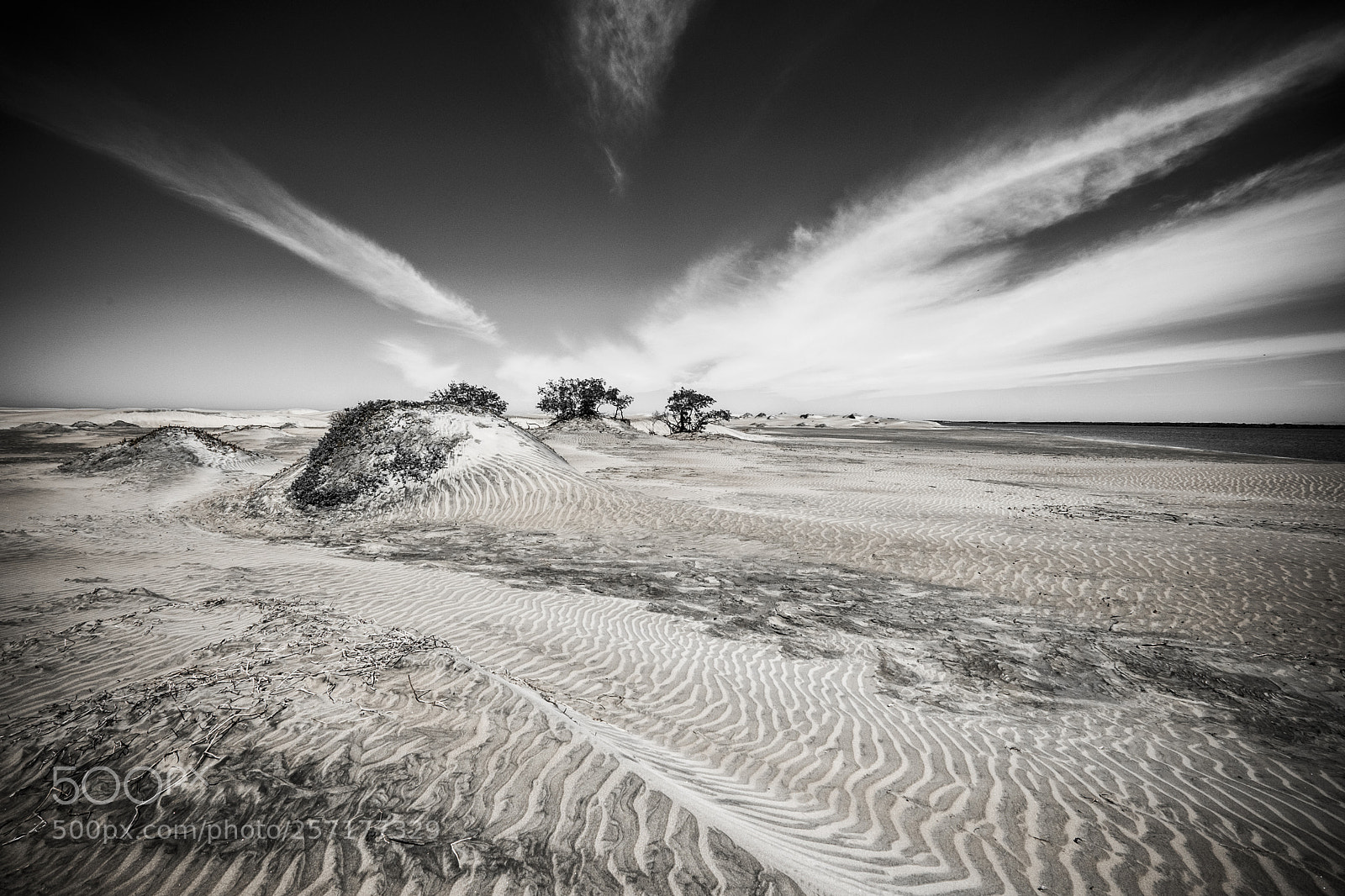 Fujifilm X-T2 sample photo. Desert landscape in mexico photography