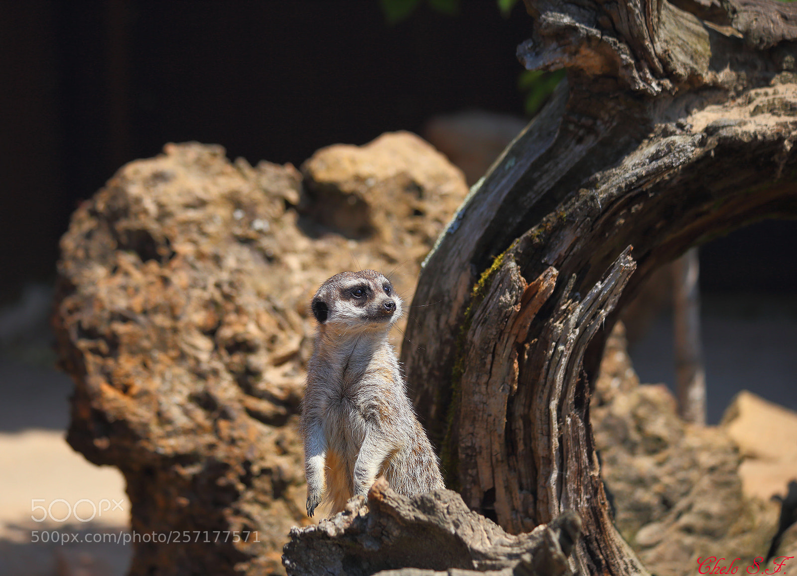 Canon EOS 6D sample photo. Untitled photography