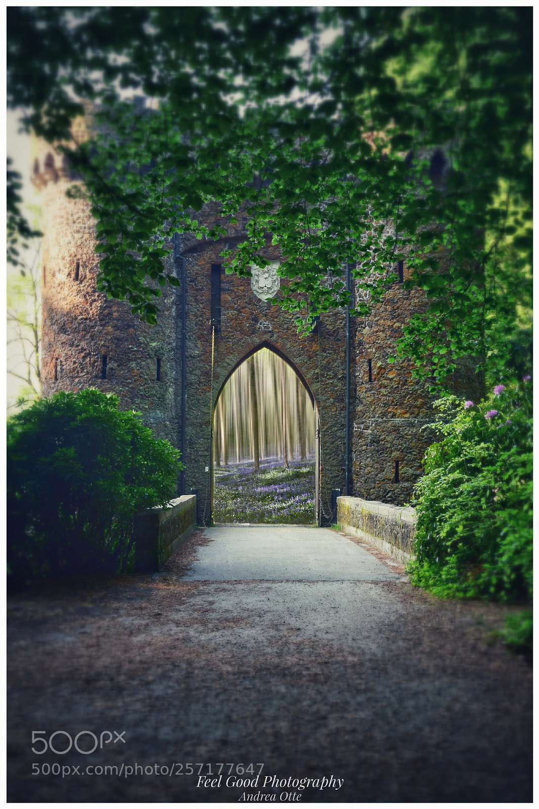 Nikon D5300 sample photo. The gate photography