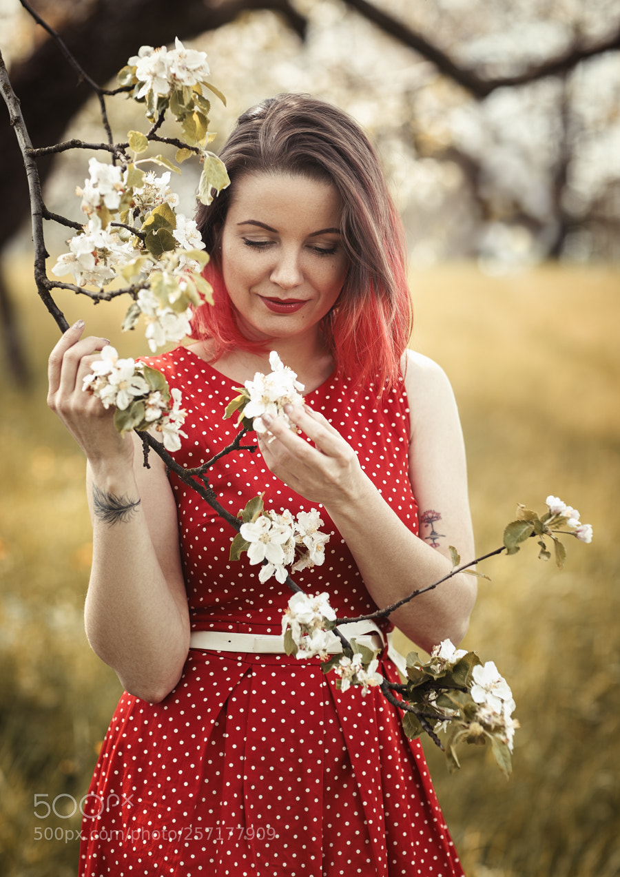 Canon EOS 5D Mark II sample photo. Eli photography