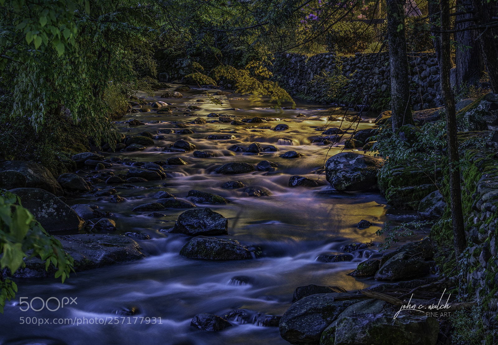 Nikon D5500 sample photo. A river runs through photography