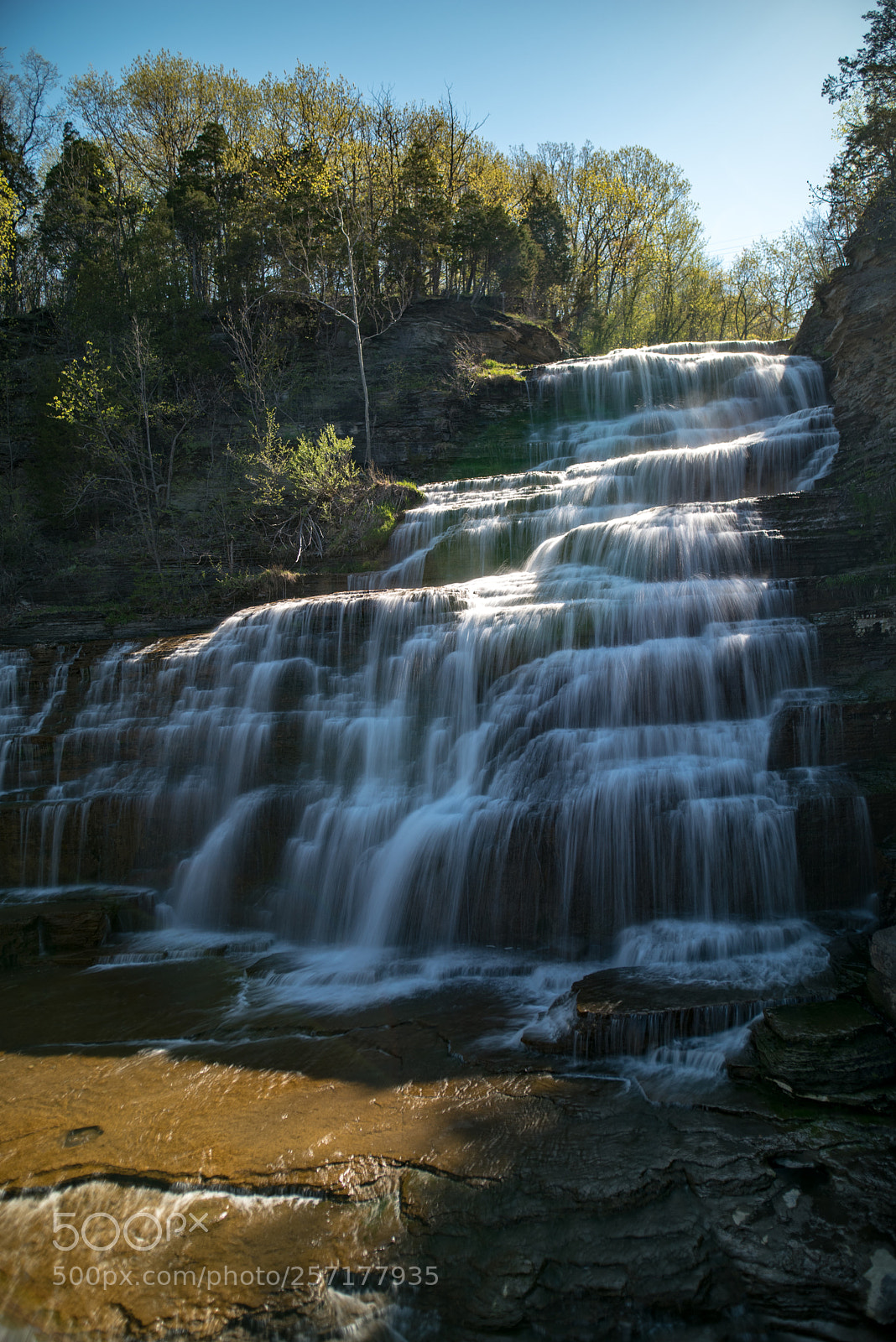 Nikon D750 sample photo. Hector falls photography