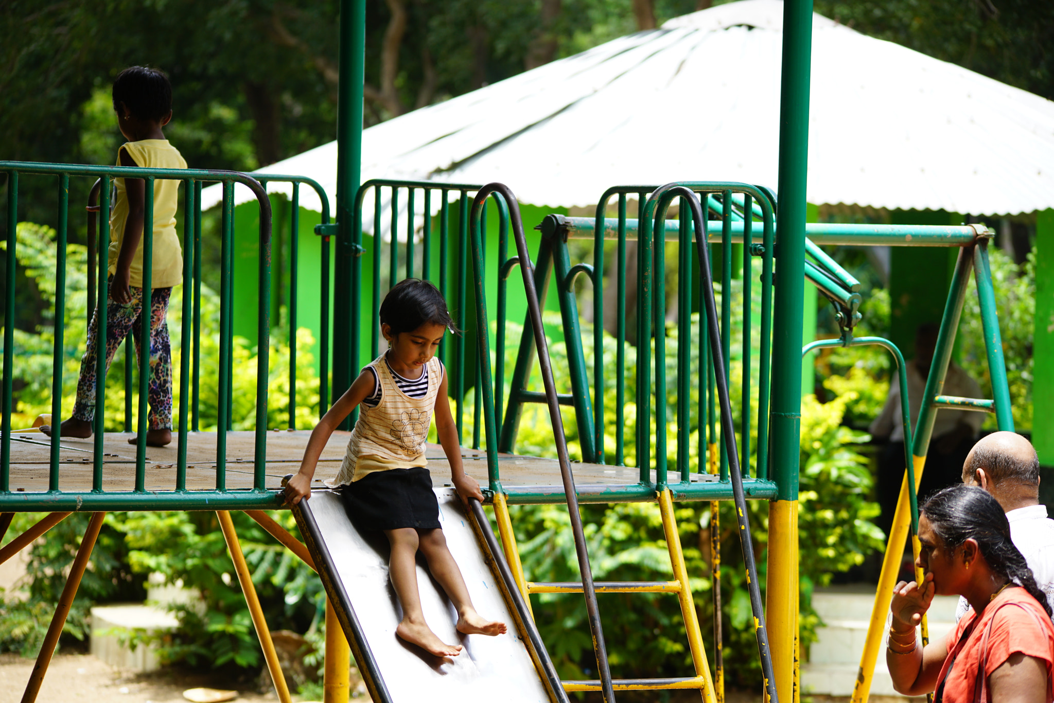 Sony a7R II + Sigma 150-500mm F5-6.3 DG OS HSM sample photo. Kurumbapatty zoo () photography