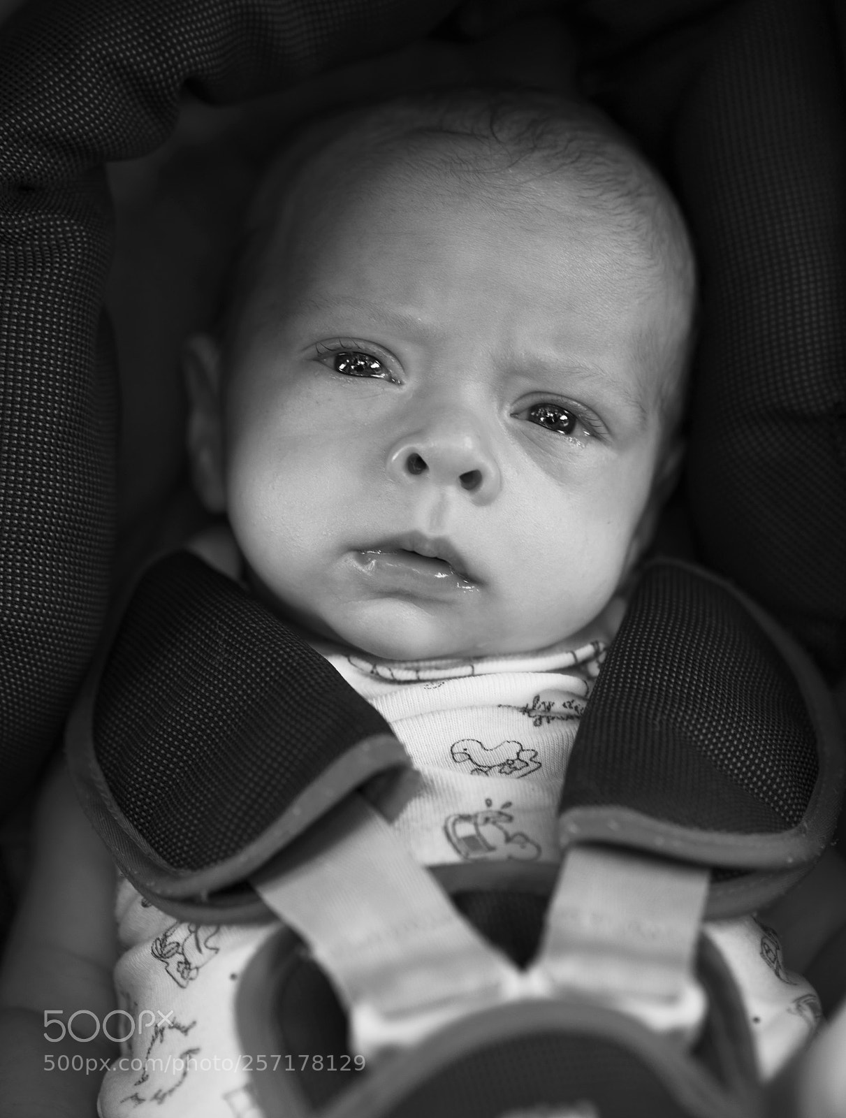 Nikon D750 sample photo. Dsc photography