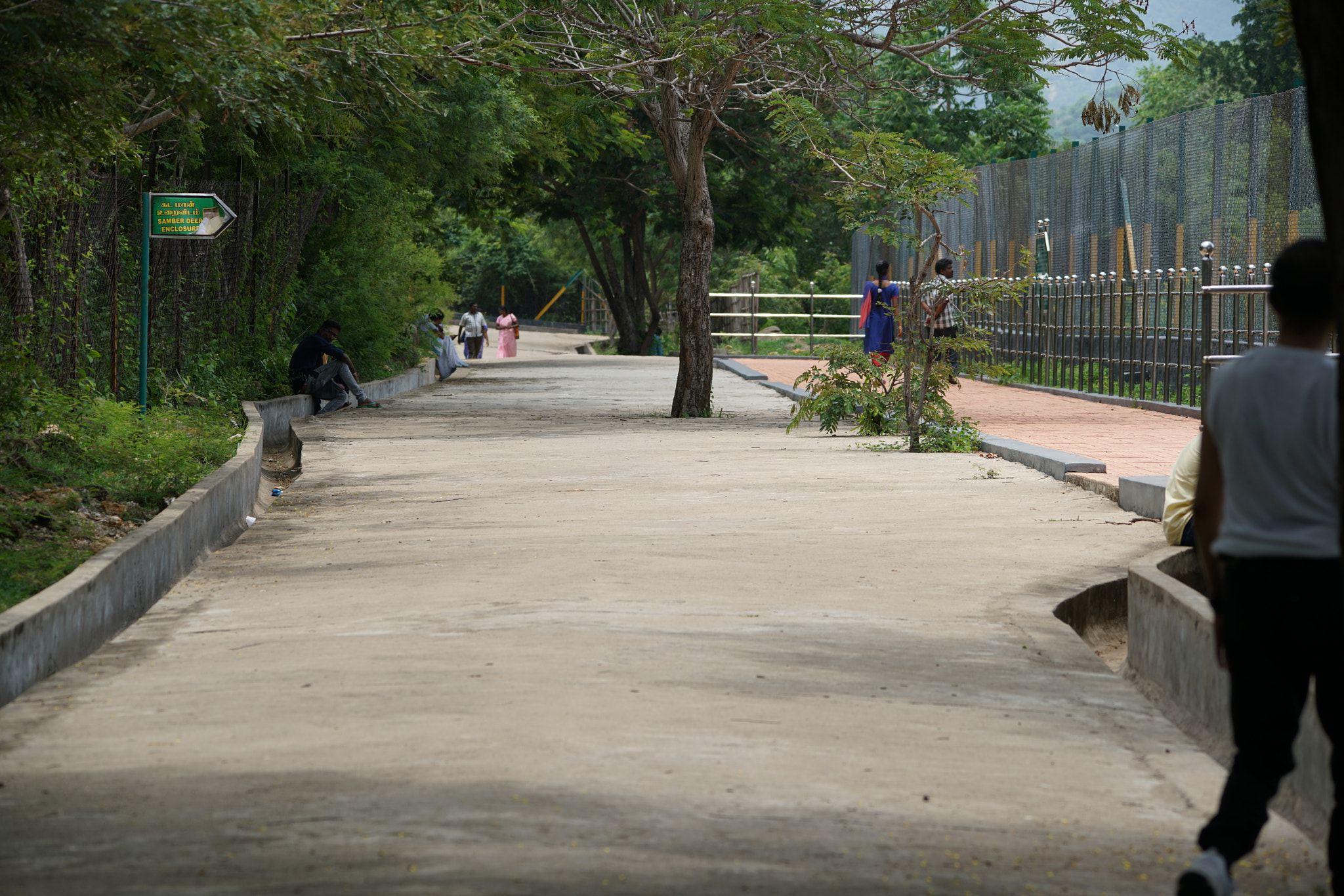 Sigma 150-500mm F5-6.3 DG OS HSM sample photo. Kurumbapatty zoo () photography