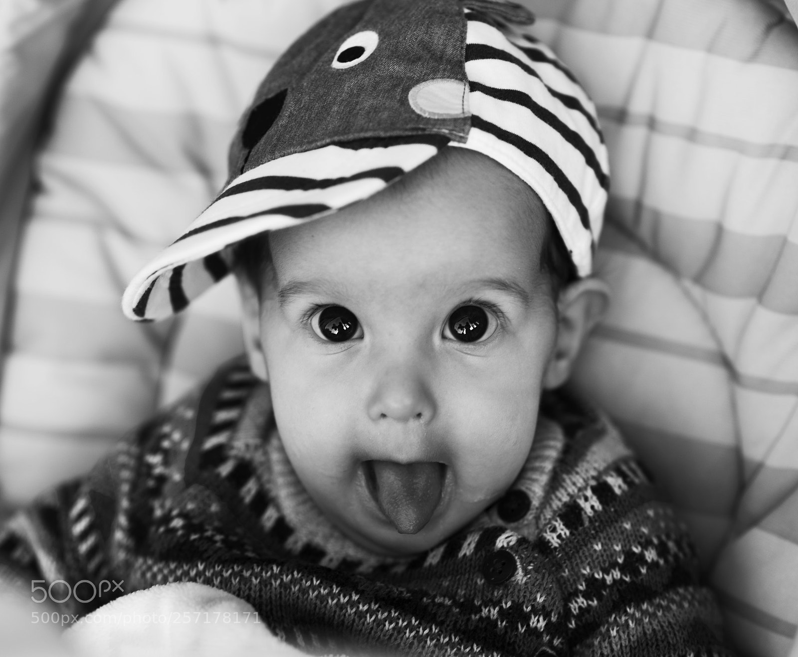Nikon D750 sample photo. Dsc photography