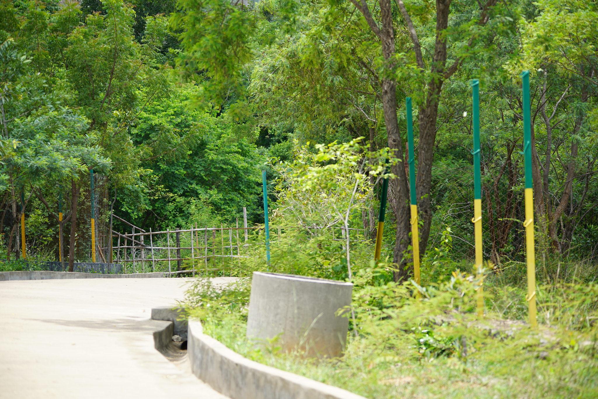 Sigma 150-500mm F5-6.3 DG OS HSM sample photo. Kurumbapatty zoo () photography