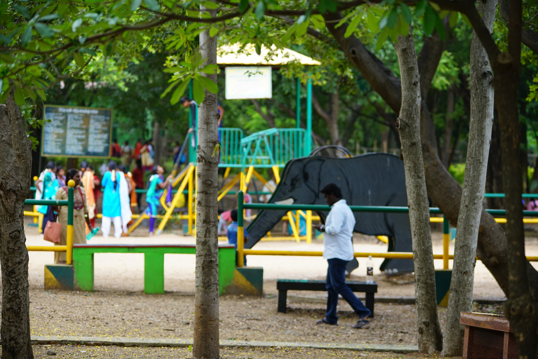 Sony a7R II + Sigma 150-500mm F5-6.3 DG OS HSM sample photo. Kurumbapatty zoo () photography