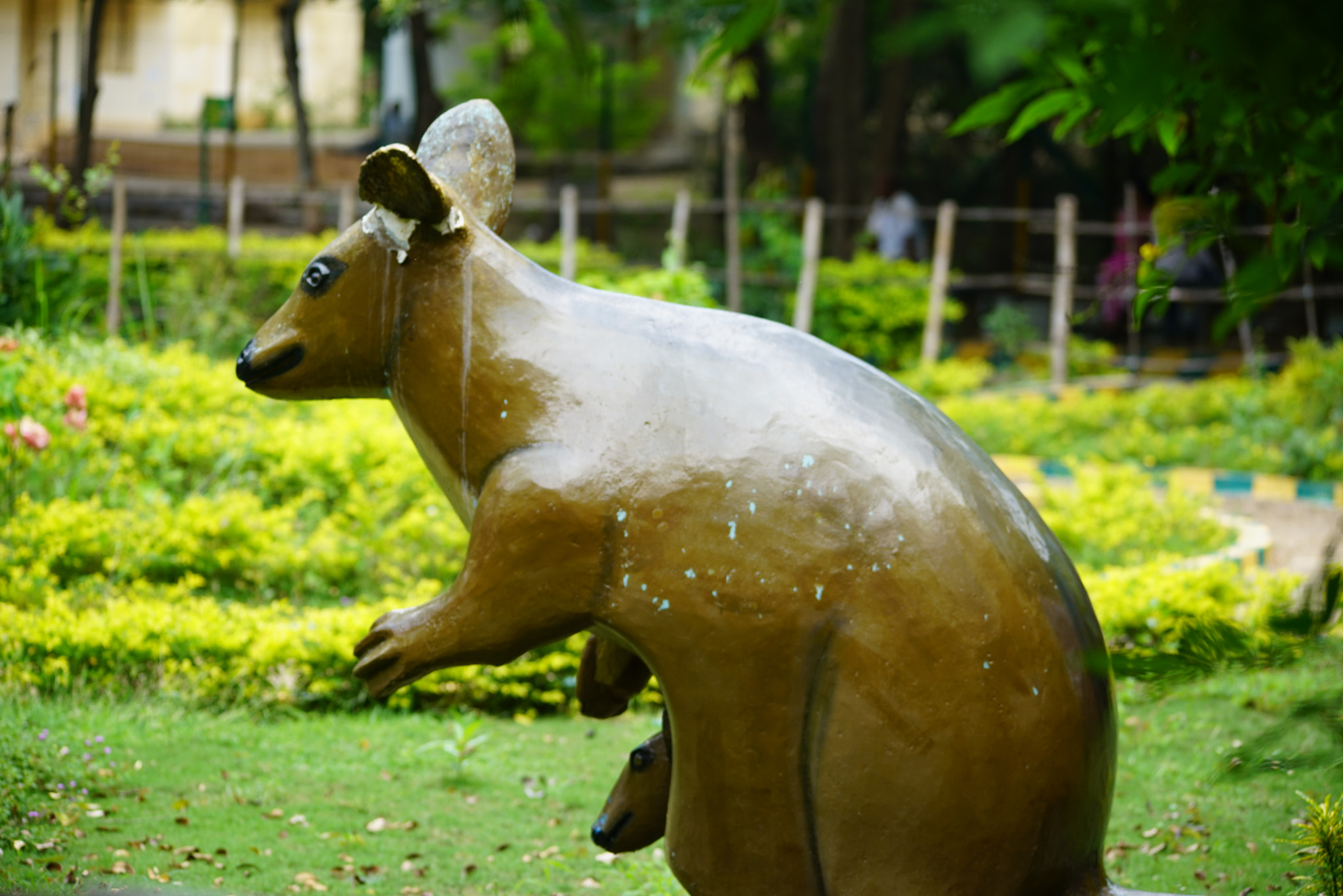 Sigma 150-500mm F5-6.3 DG OS HSM sample photo. Kurumbapatty zoo () photography