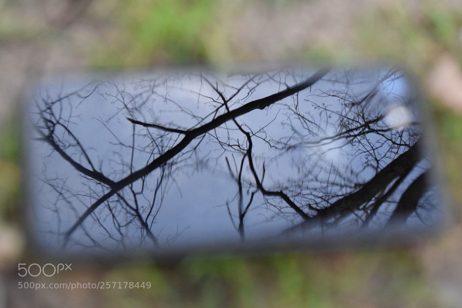 Nikon D5300 sample photo. Natural pictures #stock photography