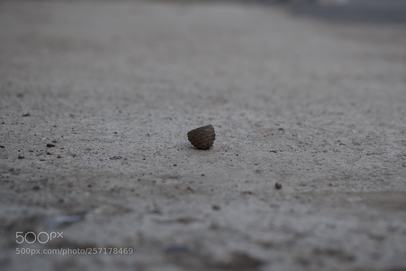 Nikon D5300 sample photo. Natural pictures #stock photography