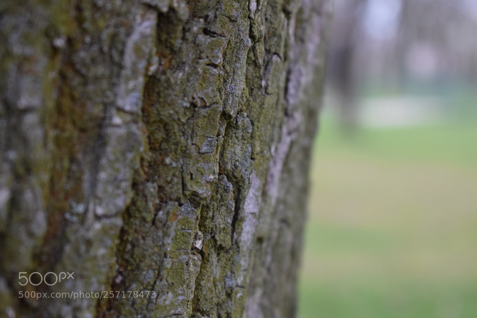 Nikon D5300 sample photo. Natural pictures #stock photography