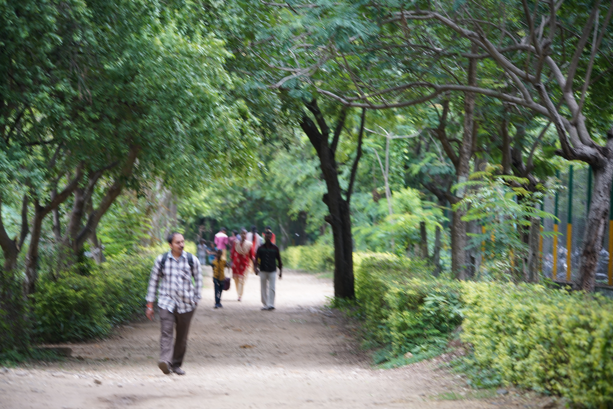 Sigma 150-500mm F5-6.3 DG OS HSM sample photo. Kurumbapatty zoo () photography