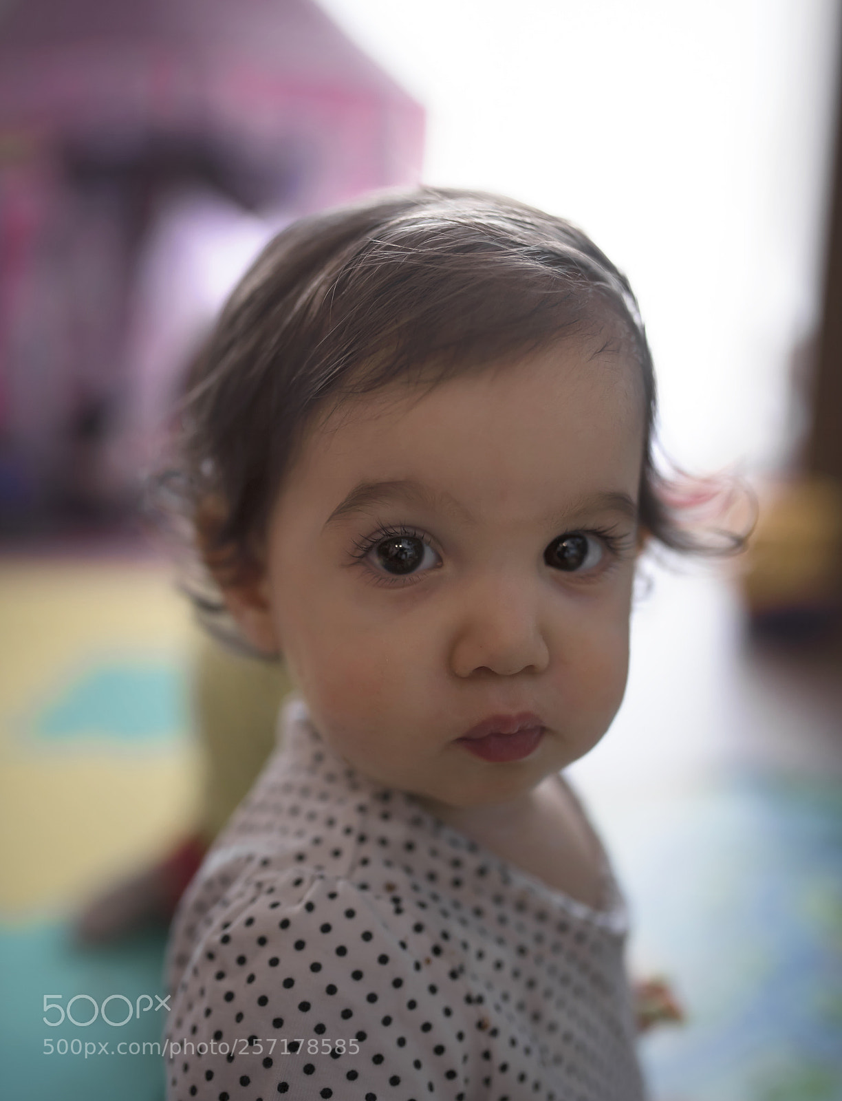 Nikon D750 sample photo. Dsc photography