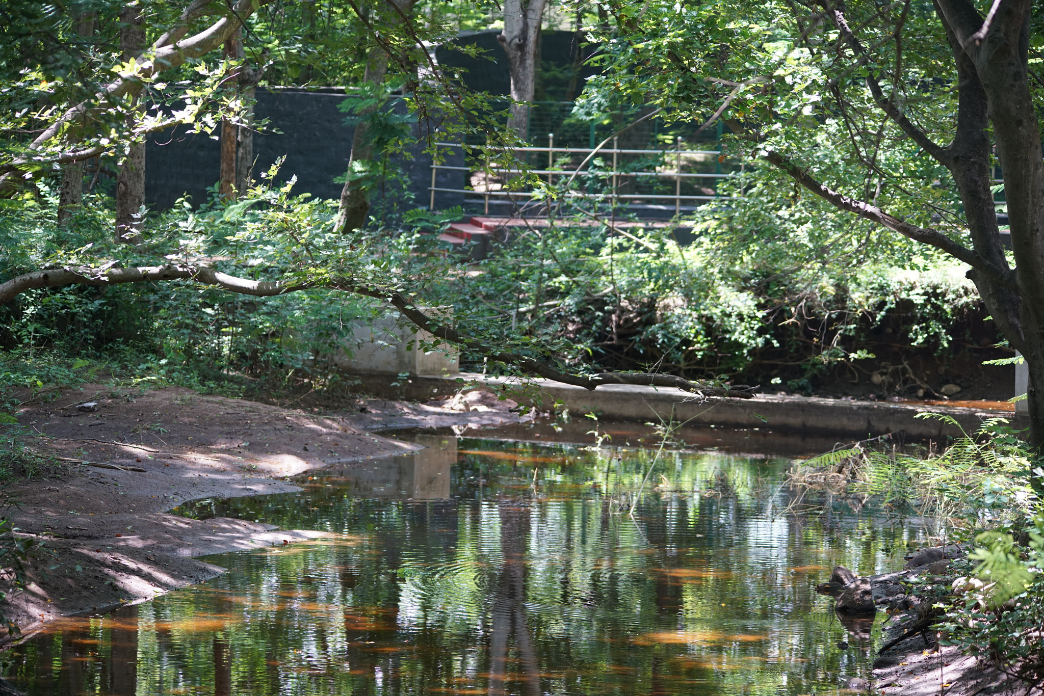 Sony a7R II + Sigma 150-500mm F5-6.3 DG OS HSM sample photo. Kurumbapatty zoo () photography