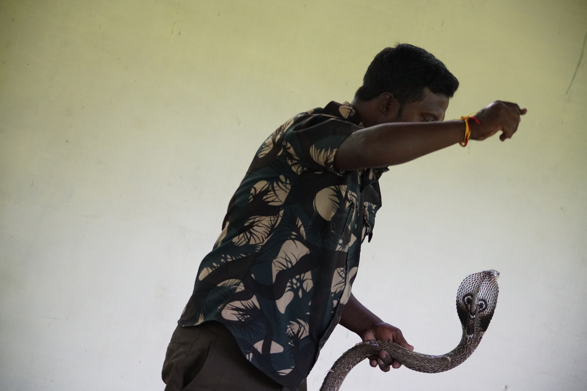 Sony a7R II sample photo. Kurumbapatty zoo () photography