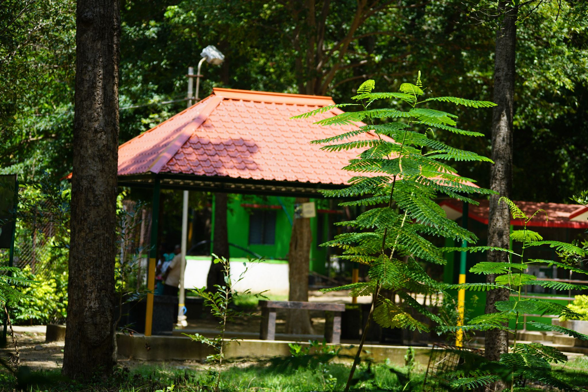 Sony a7R II sample photo. Kurumbapatty zoo () photography