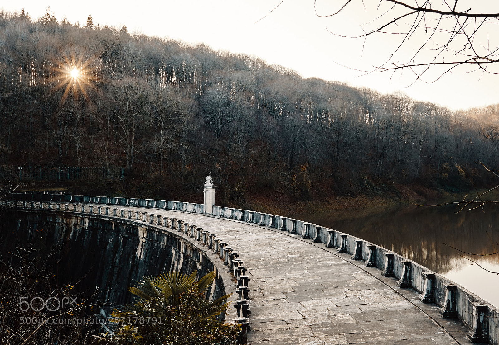 Sony a6500 sample photo. Belgrad forest photography