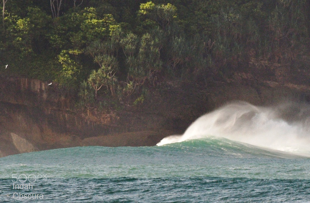 Nikon AF-S Nikkor 200-500mm F5.6E ED VR sample photo. Ioi at the other end of the bay photography