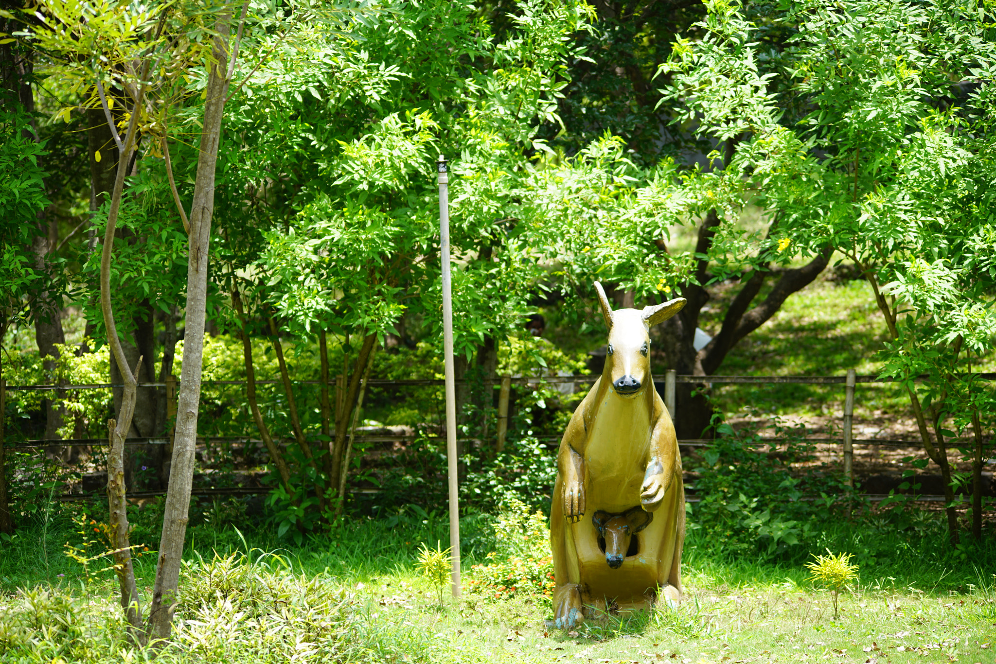 Sigma 150-500mm F5-6.3 DG OS HSM sample photo. Kurumbapatty zoo () photography