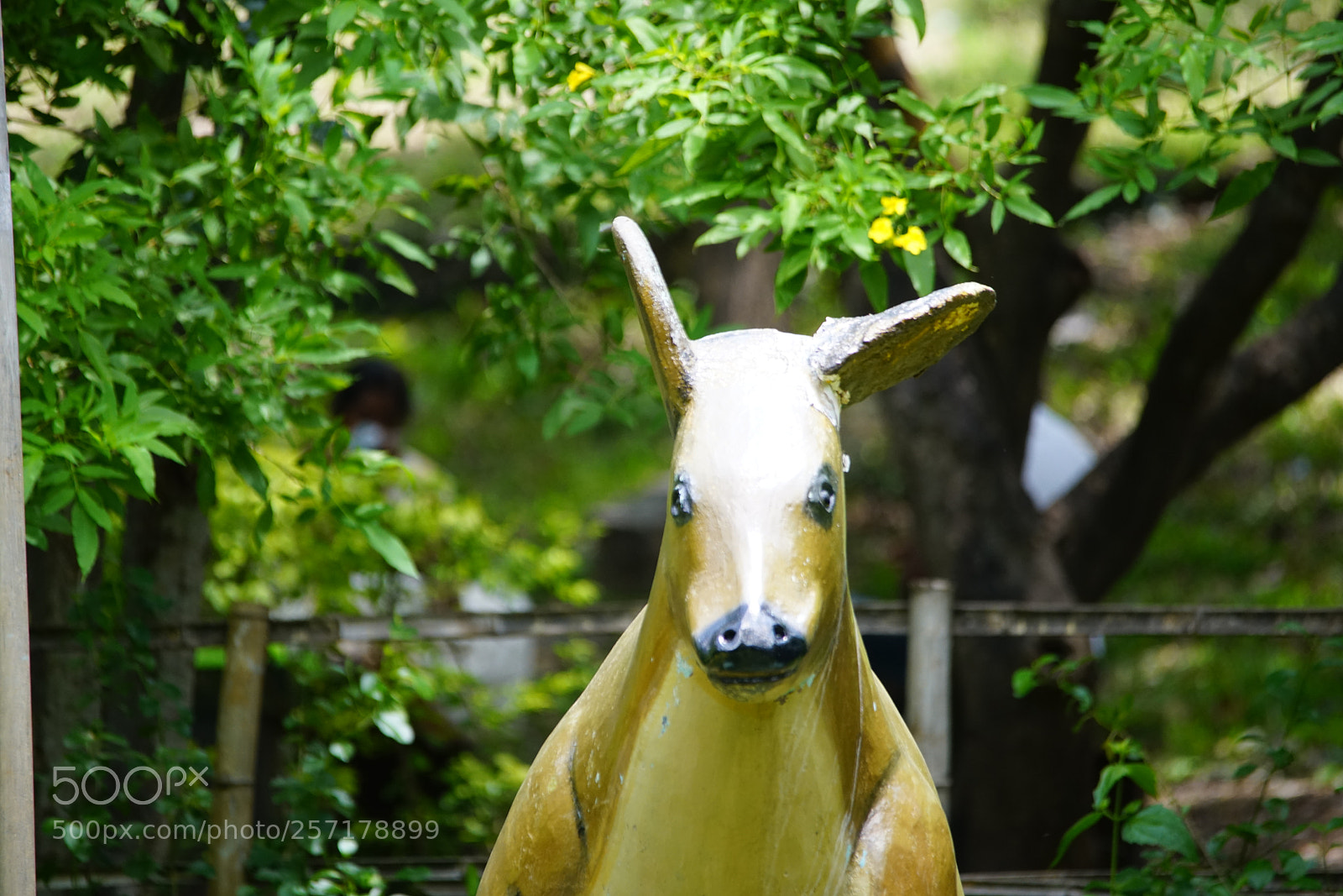 Sony a7R II sample photo. Kurumbapatty zoo () photography