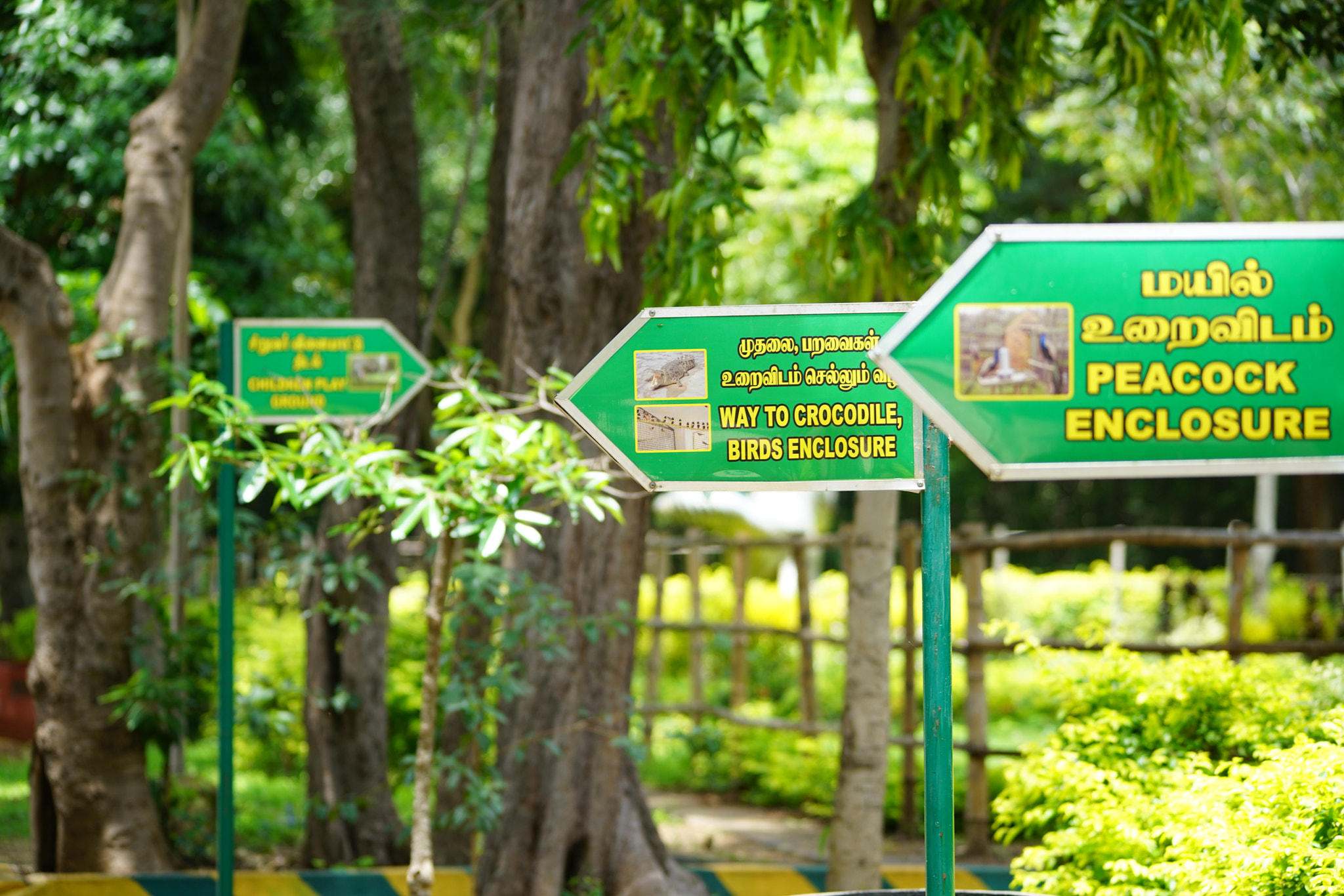 Sony a7R II + Sigma 150-500mm F5-6.3 DG OS HSM sample photo. Kurumbapatty zoo () photography