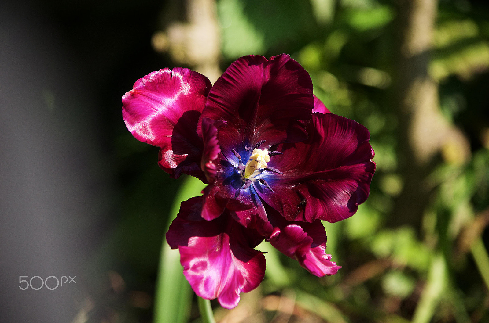 Nikon D5100 sample photo. Old english photography