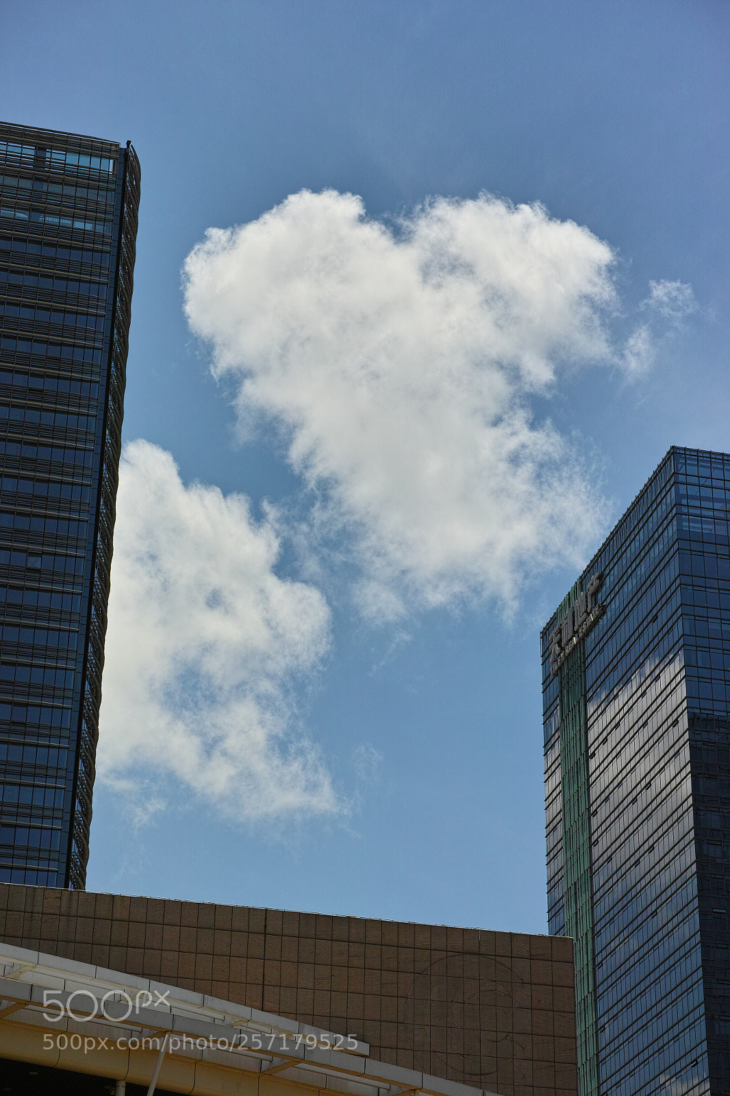 Sigma DP3 Merrill sample photo. Heart photography