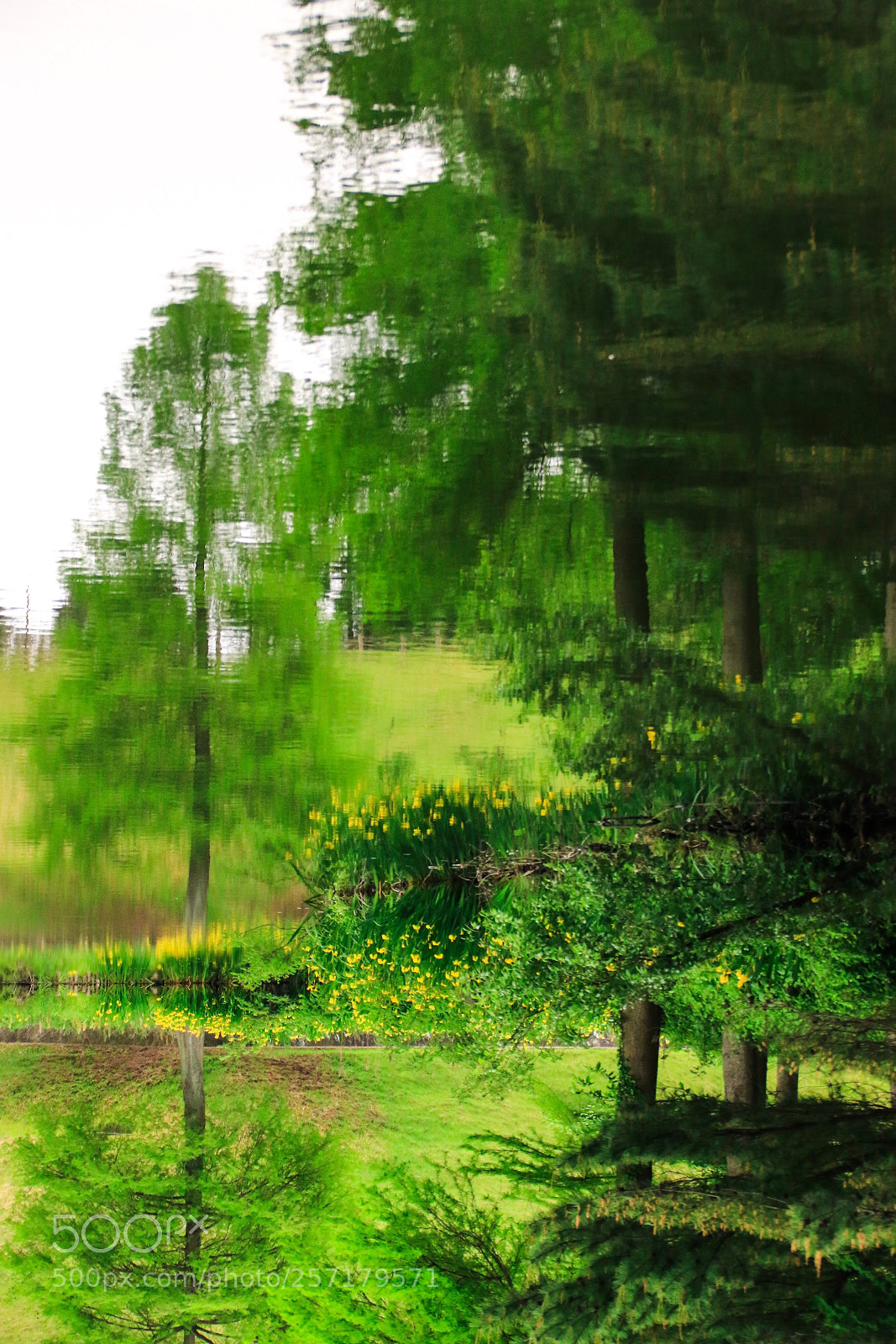 Canon EOS 7D Mark II sample photo. Untitled photography
