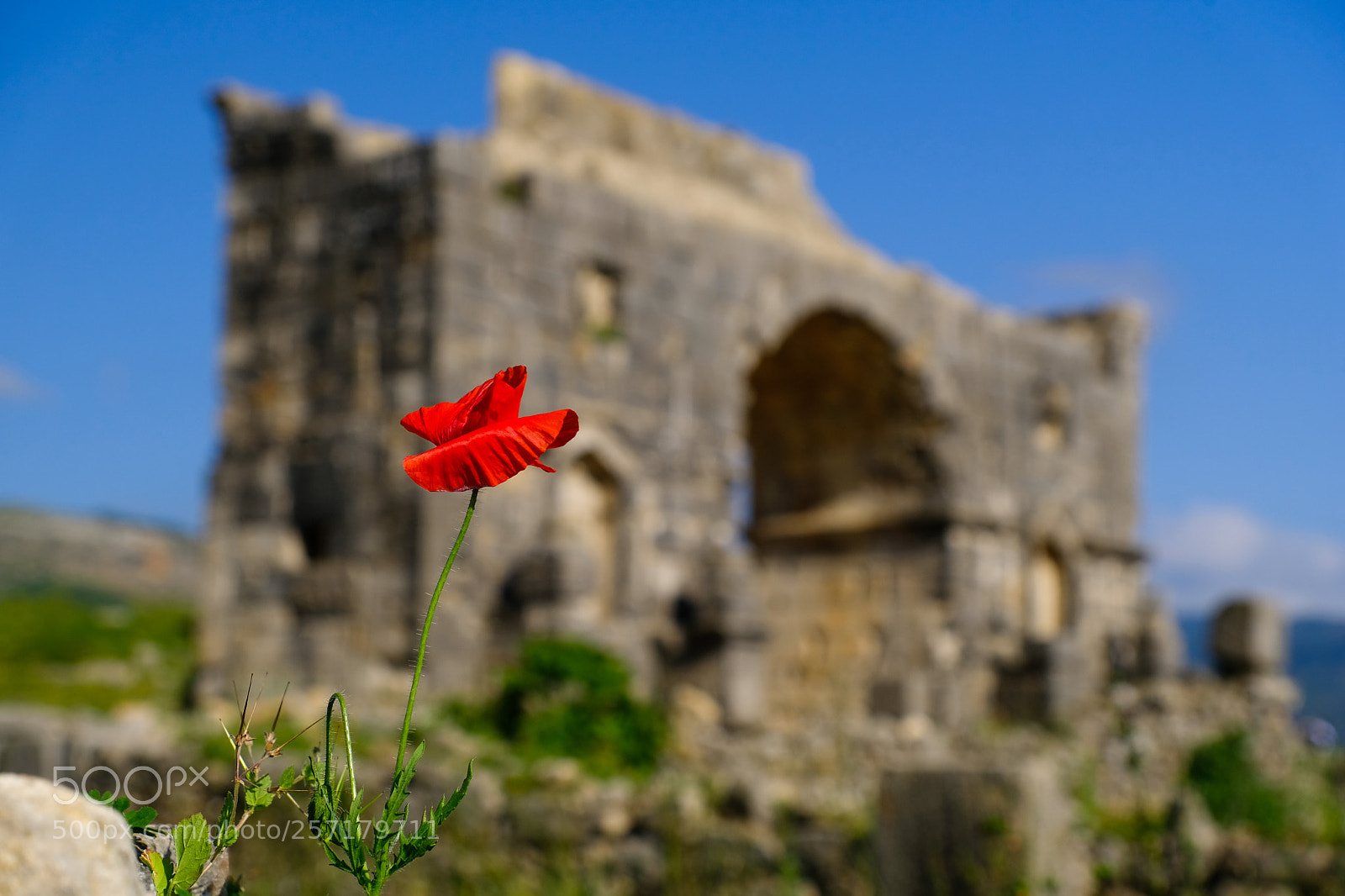 Fujifilm X-T20 sample photo. Roman runis in volubilis photography