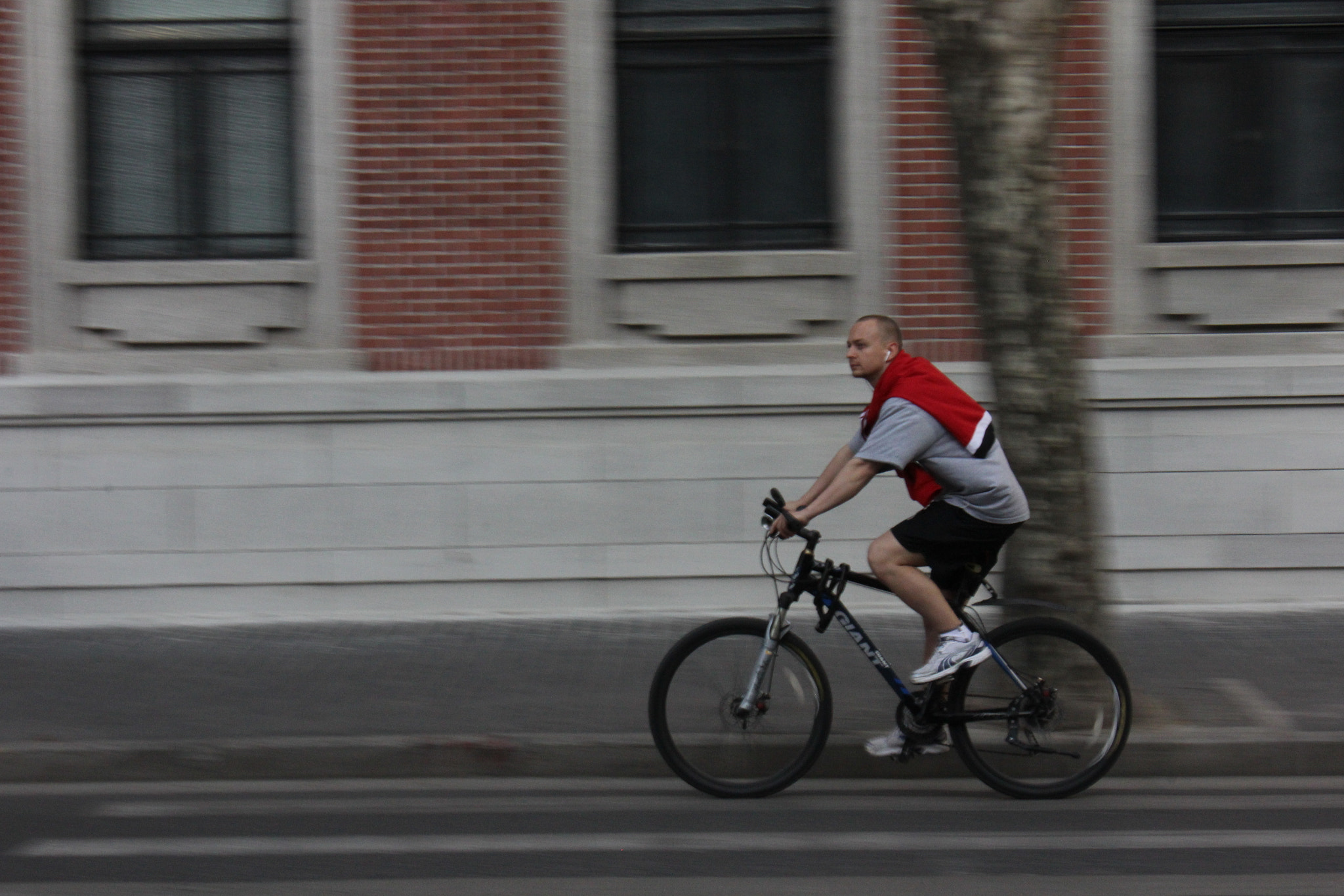 Canon EOS 60D sample photo. Img photography