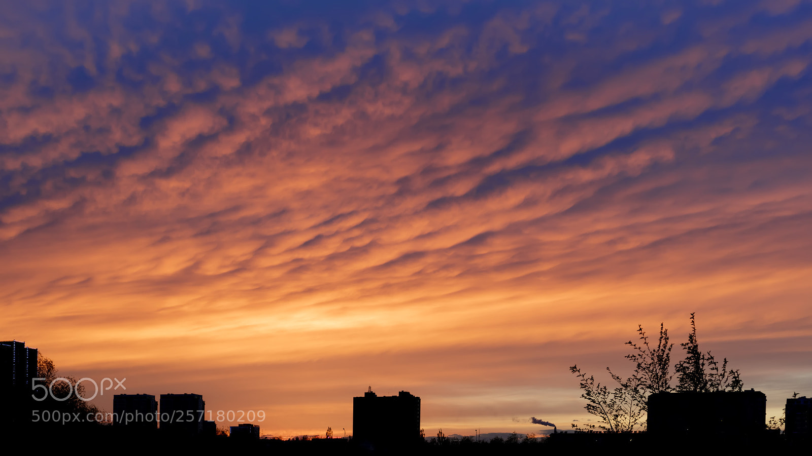 Canon EOS M3 sample photo. Sunset orange photography