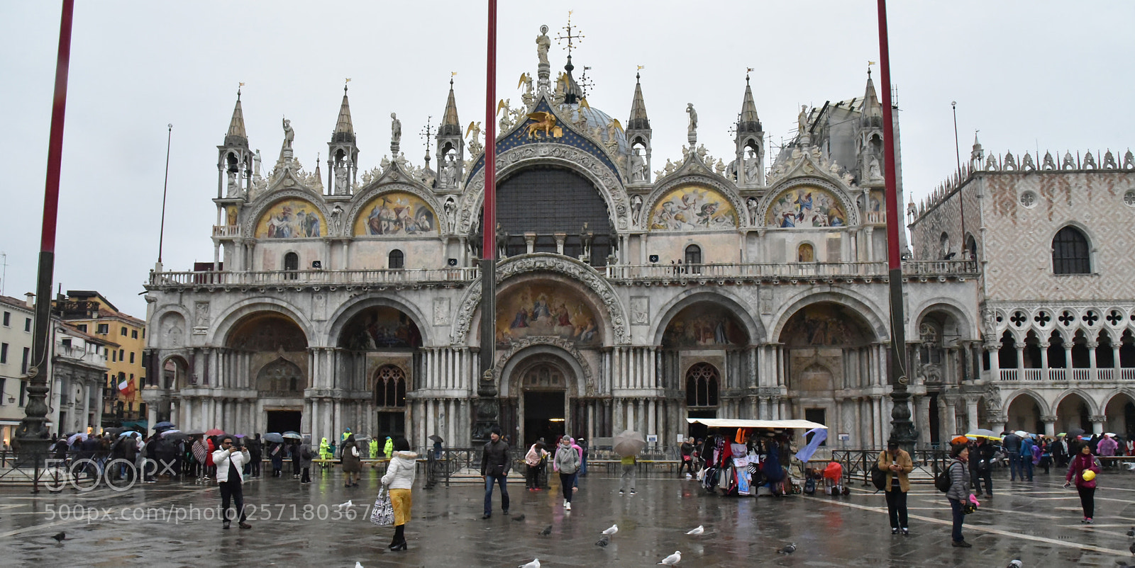 Nikon D750 sample photo. Saint mark's basilica, venice photography